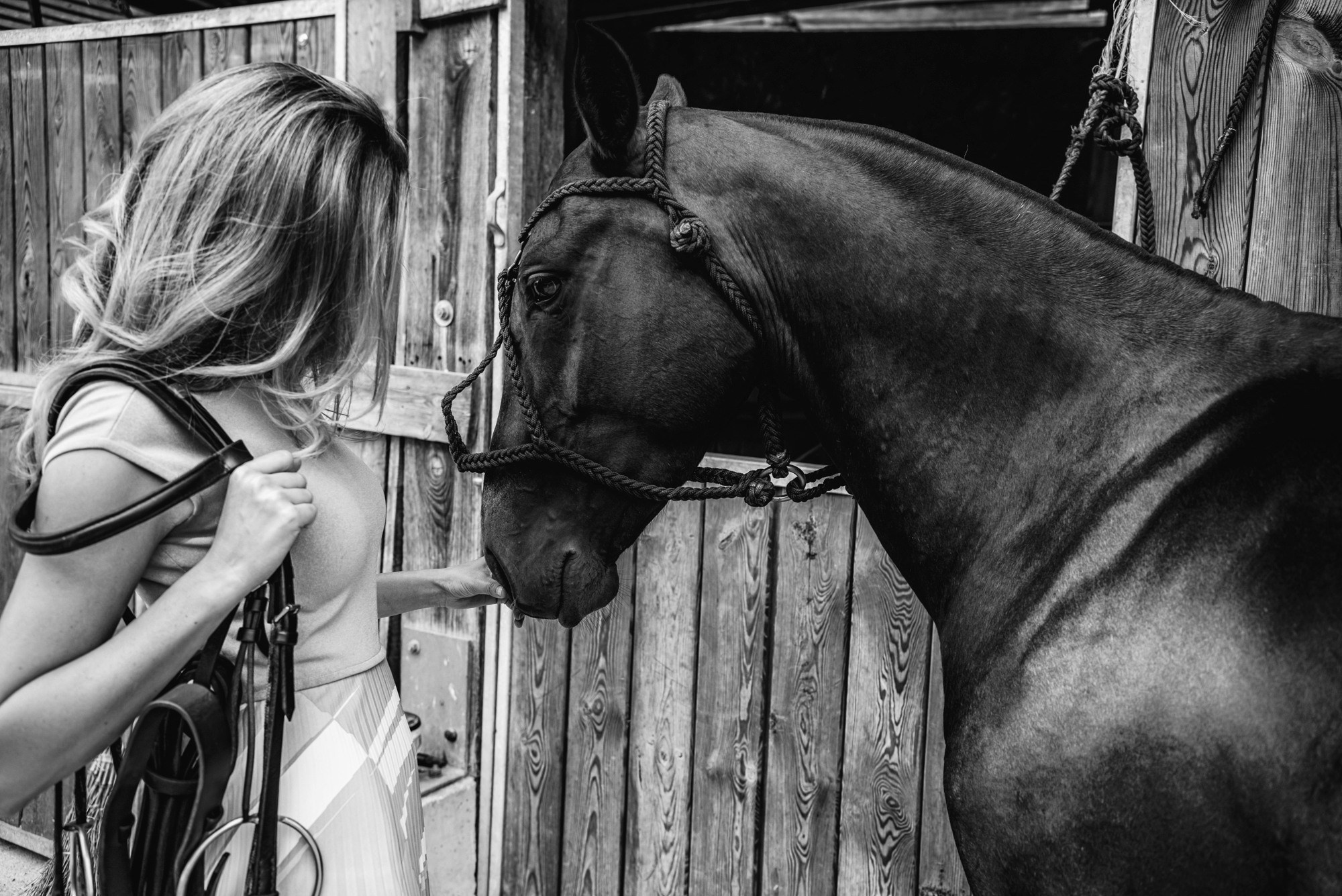 Photo shoot with horses