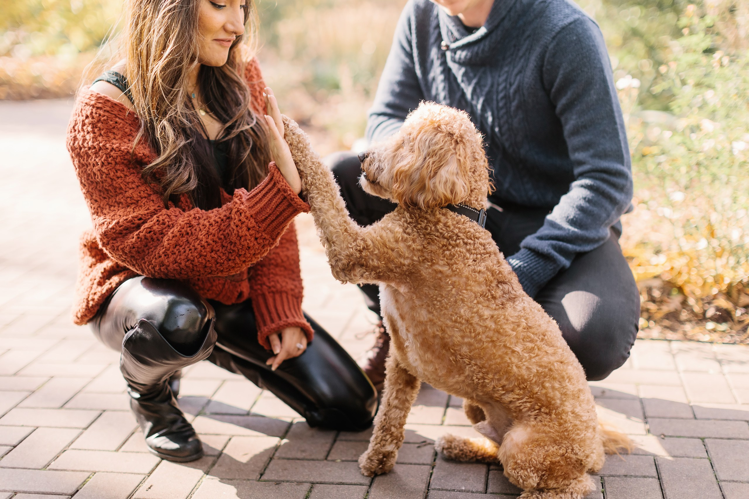 11.02.2024 Love Story. Wedding family event photographer in Chicago Nick Yushevich