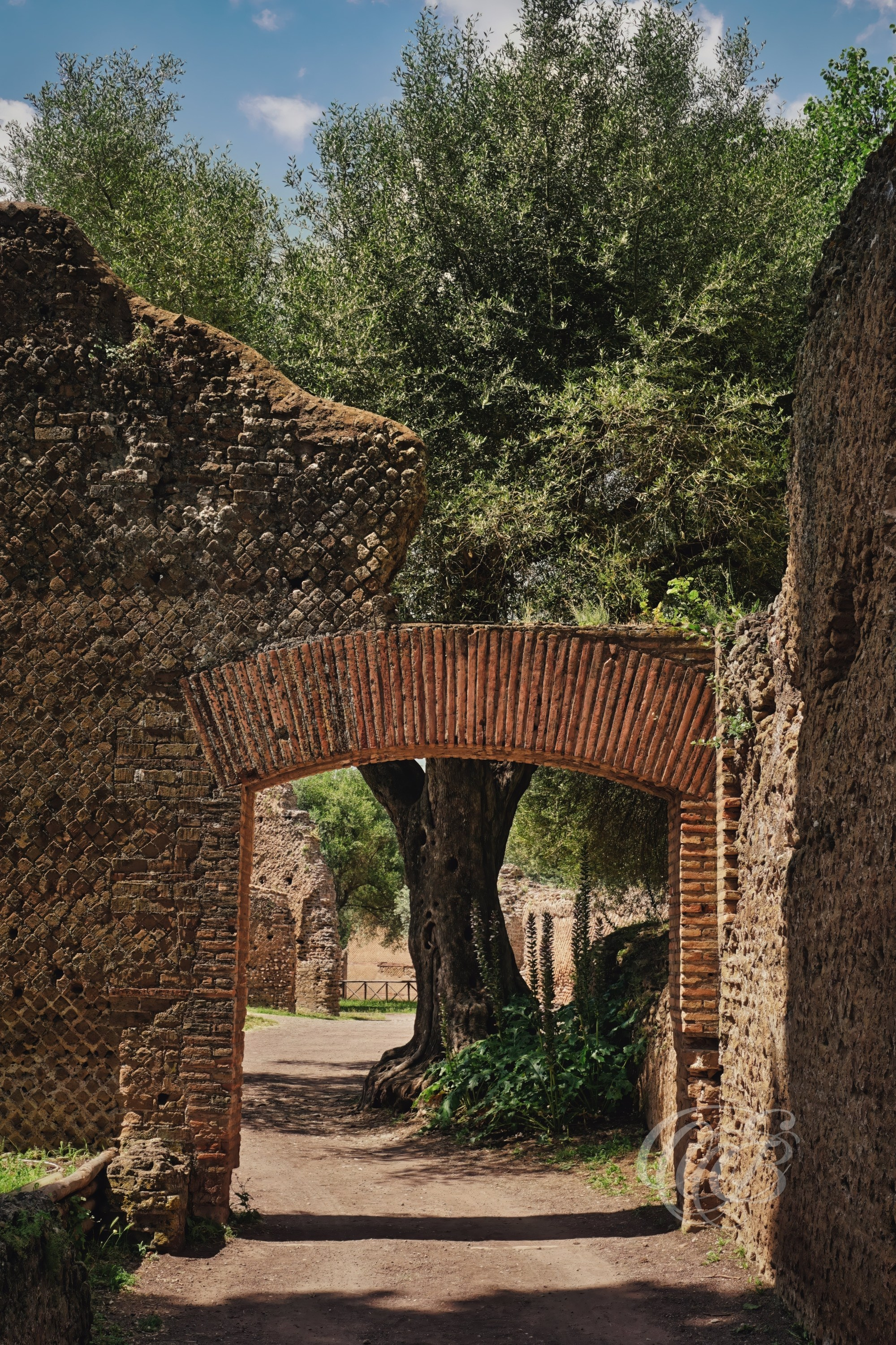 The Small Thermae (Piccole Terme) formed part of the villa's bathing complex and are thought to have been reserved for members of the imperial household or distinguished guests. This surviving arch illustrates the refined brickwork and vaulted construction techniques employed by Roman builders, while sections of the visible masonry also include modern restoration carried out to preserve the structure.