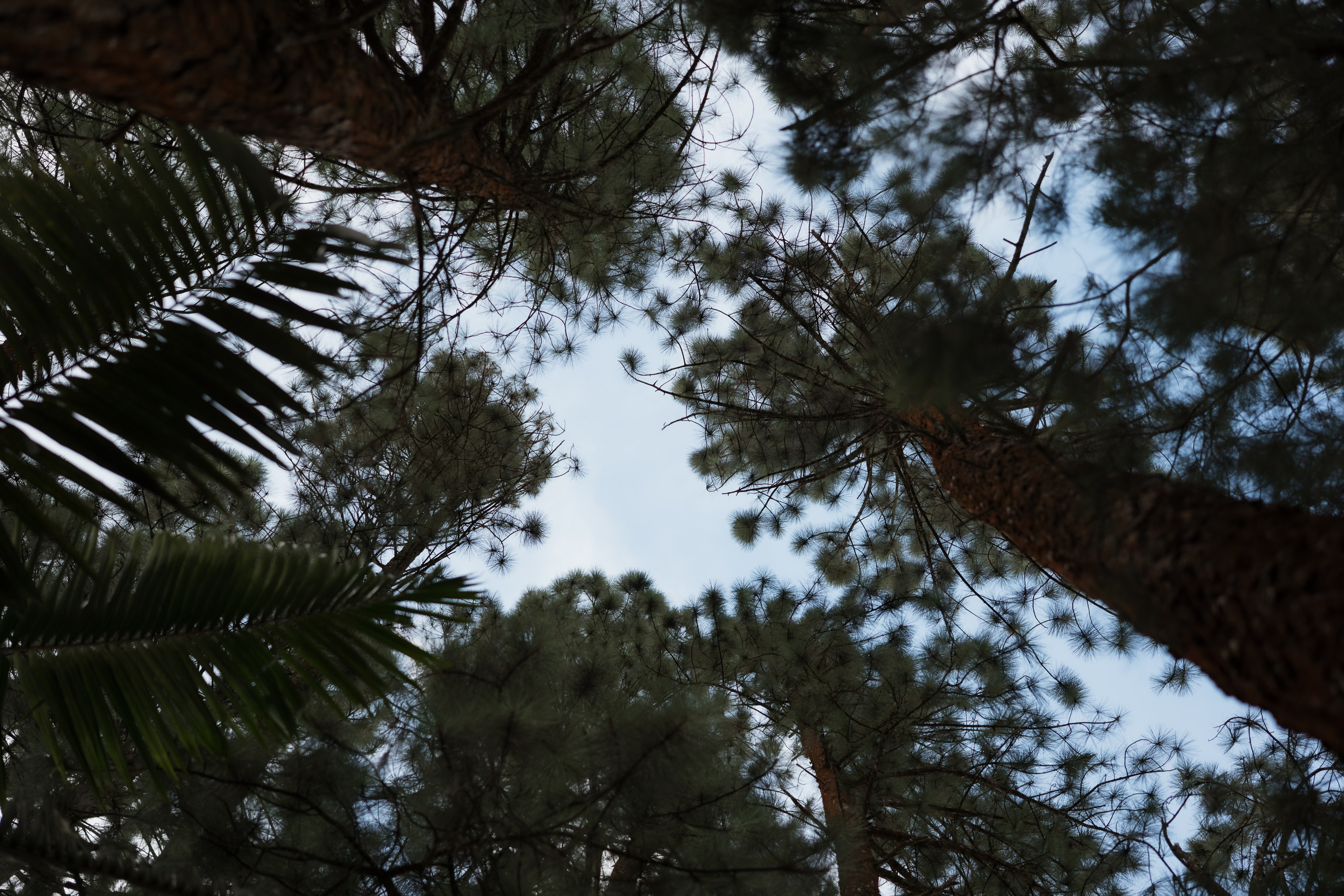 Ana e Igor. Edu e Josi Fotografia