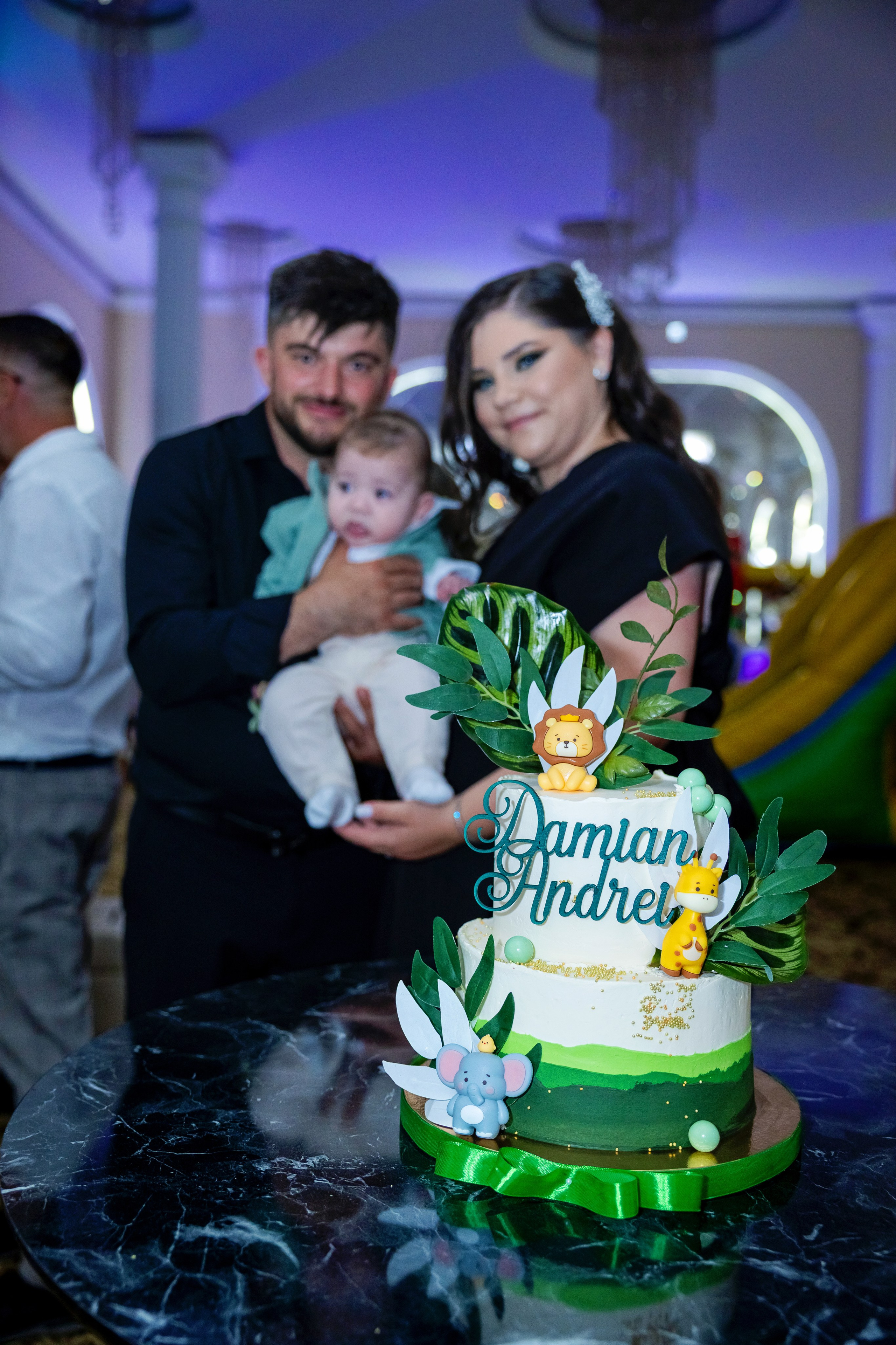 Andrei Damian. Moments By Gub