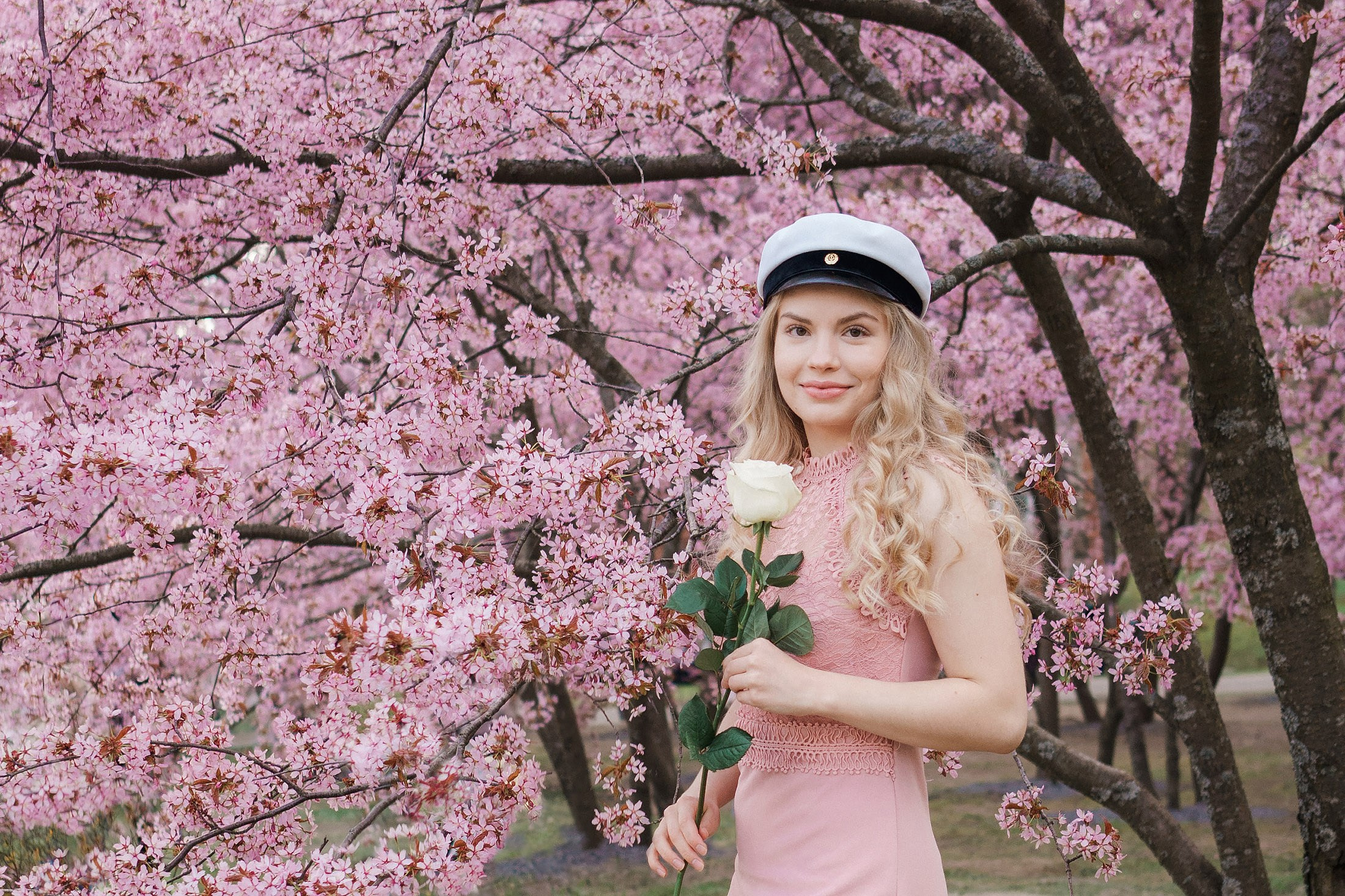 Rippi- ja ylioppilaskuvaus