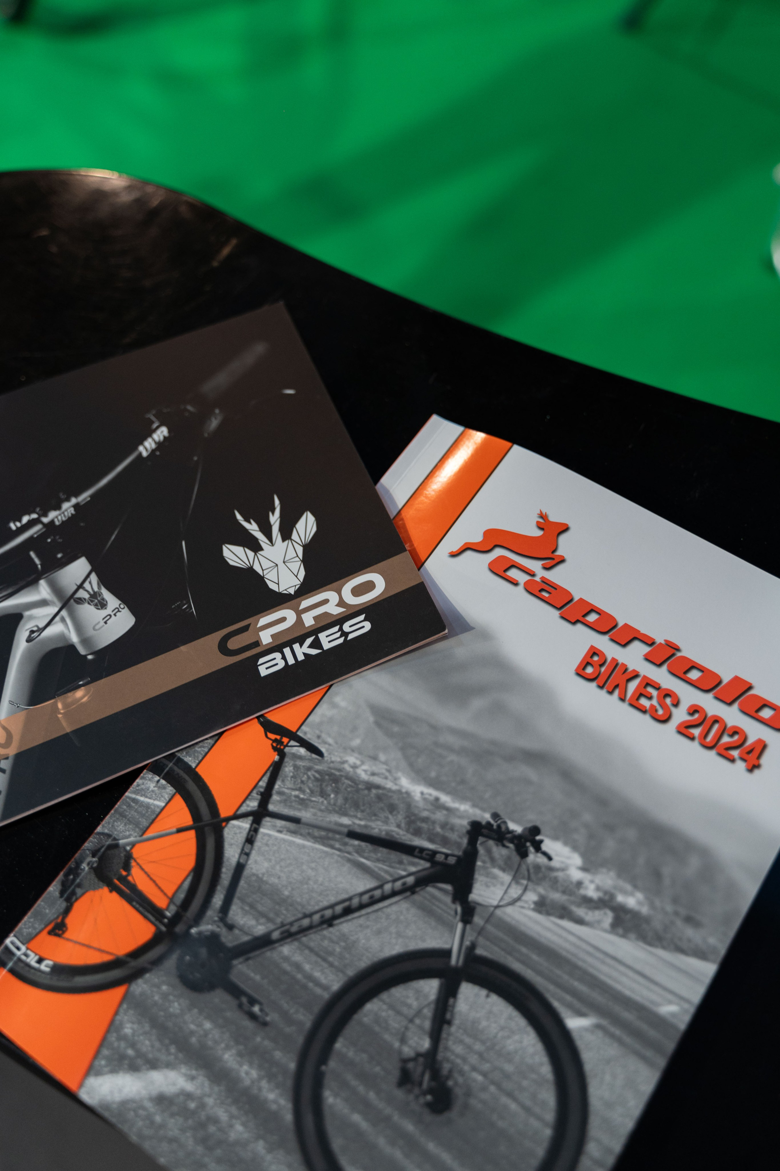 Electric Vehicles Days in Novi Sad 2024. Жуков Студио