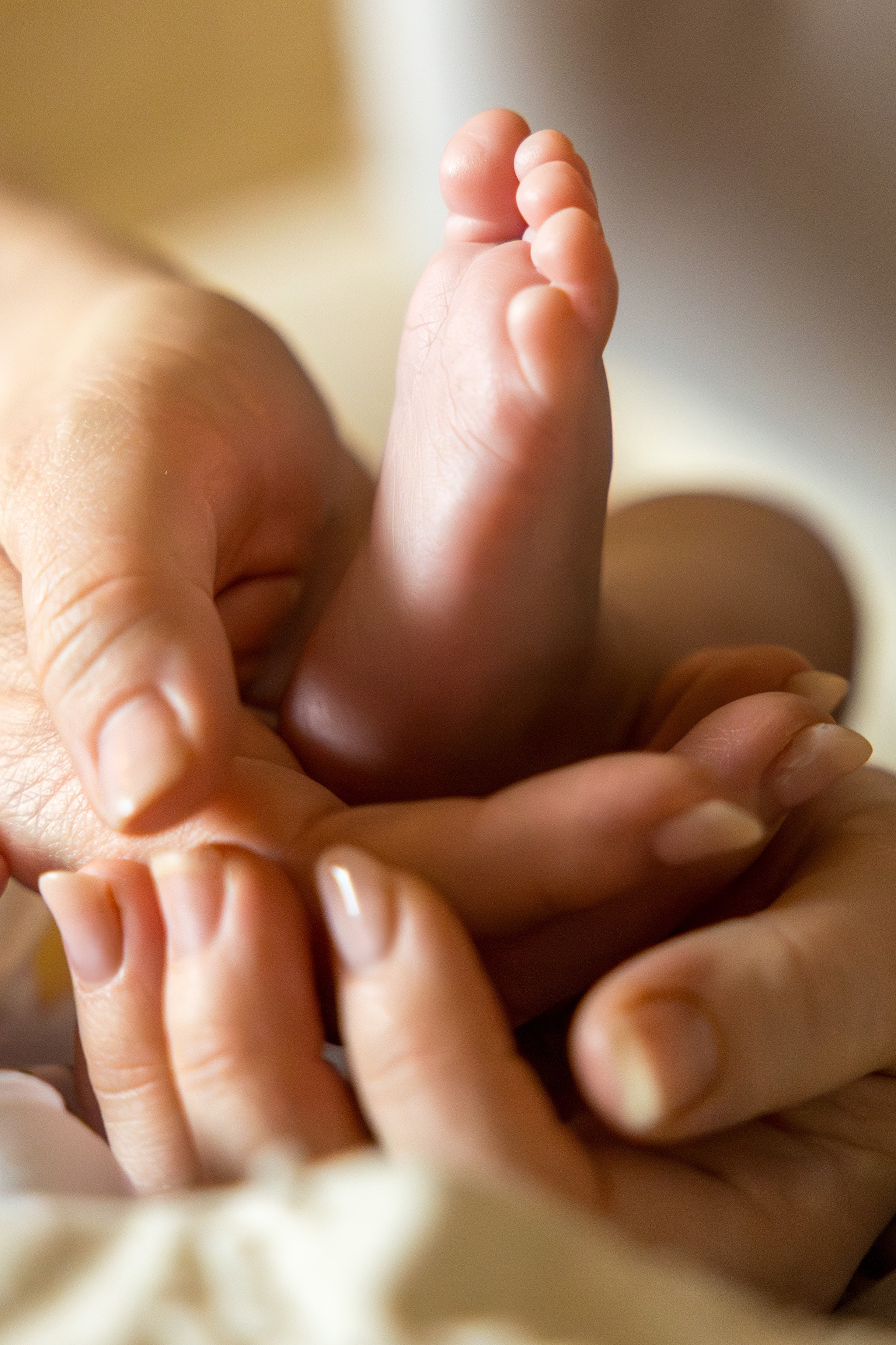 Princess Amelie 💛💙. Family, lifestyle, and commercial photography in New York and New Jersey