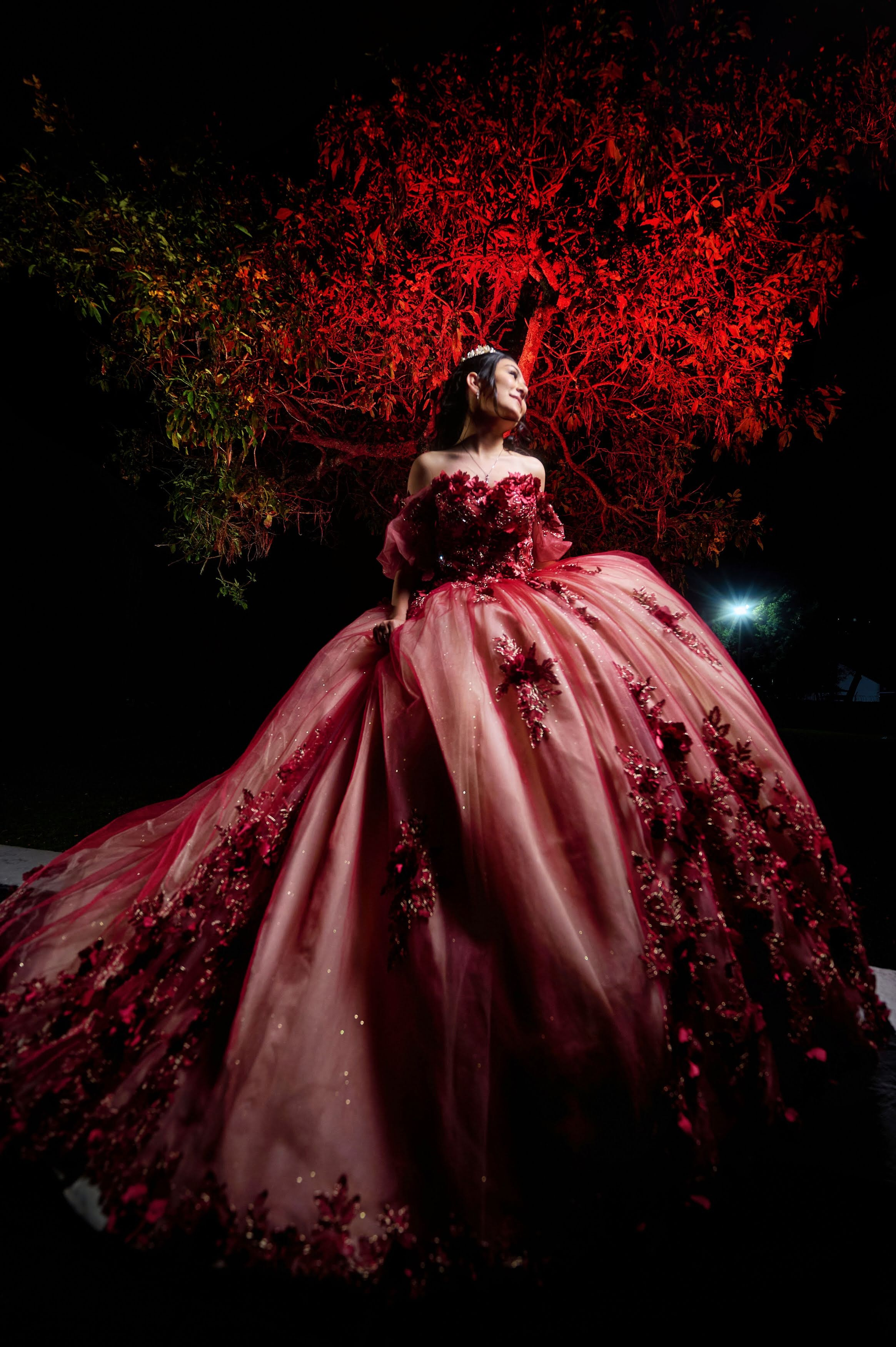 Mis 15 | Sesiones de Fotografía Modernas. Wedding Photography & Videography by ZZ Hendrick | Capturing Your Love Story in Colombia & USA