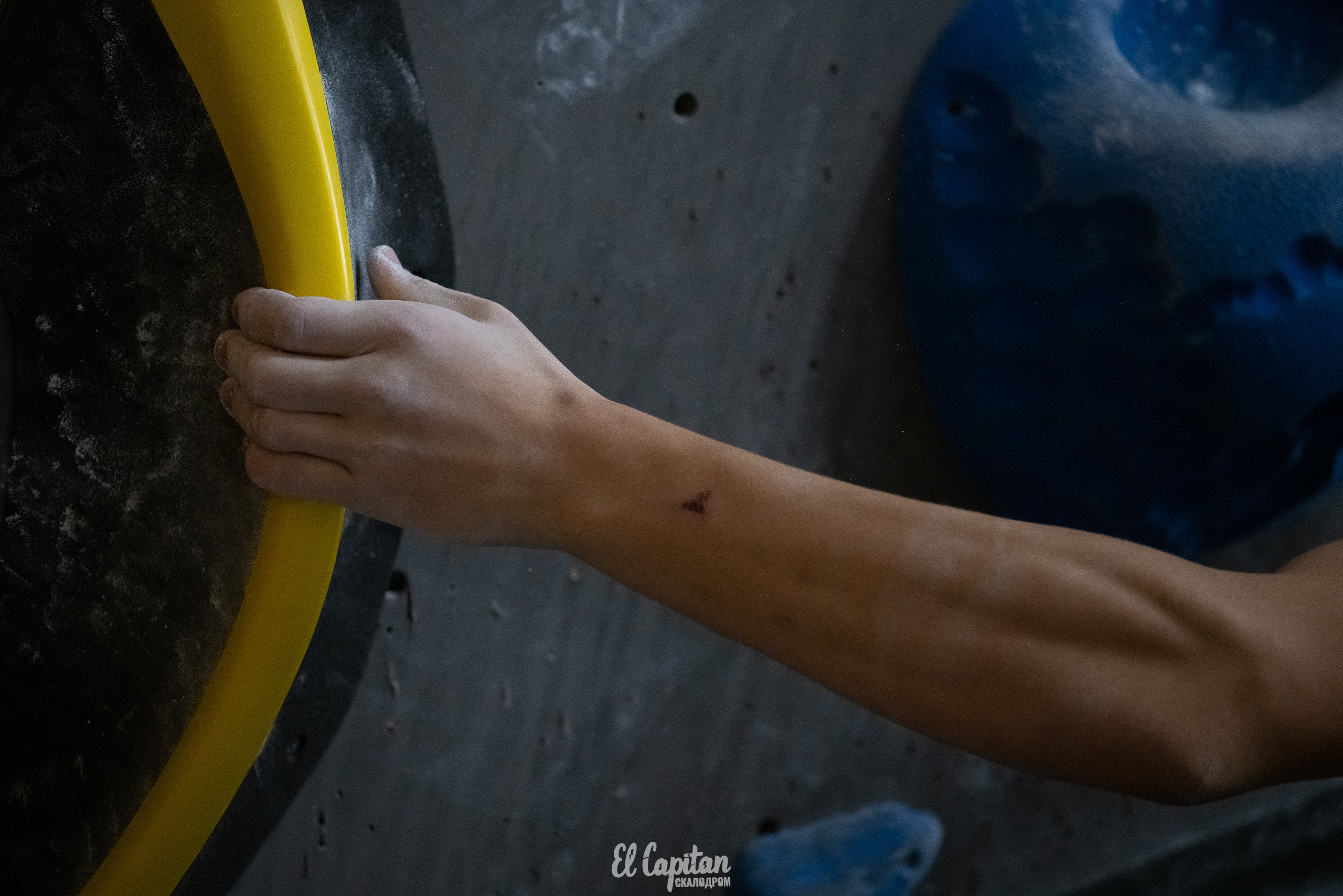 El Capitan скалолазый фестиваль. Фотографы Дарья и Дмитрий Арсентьевы