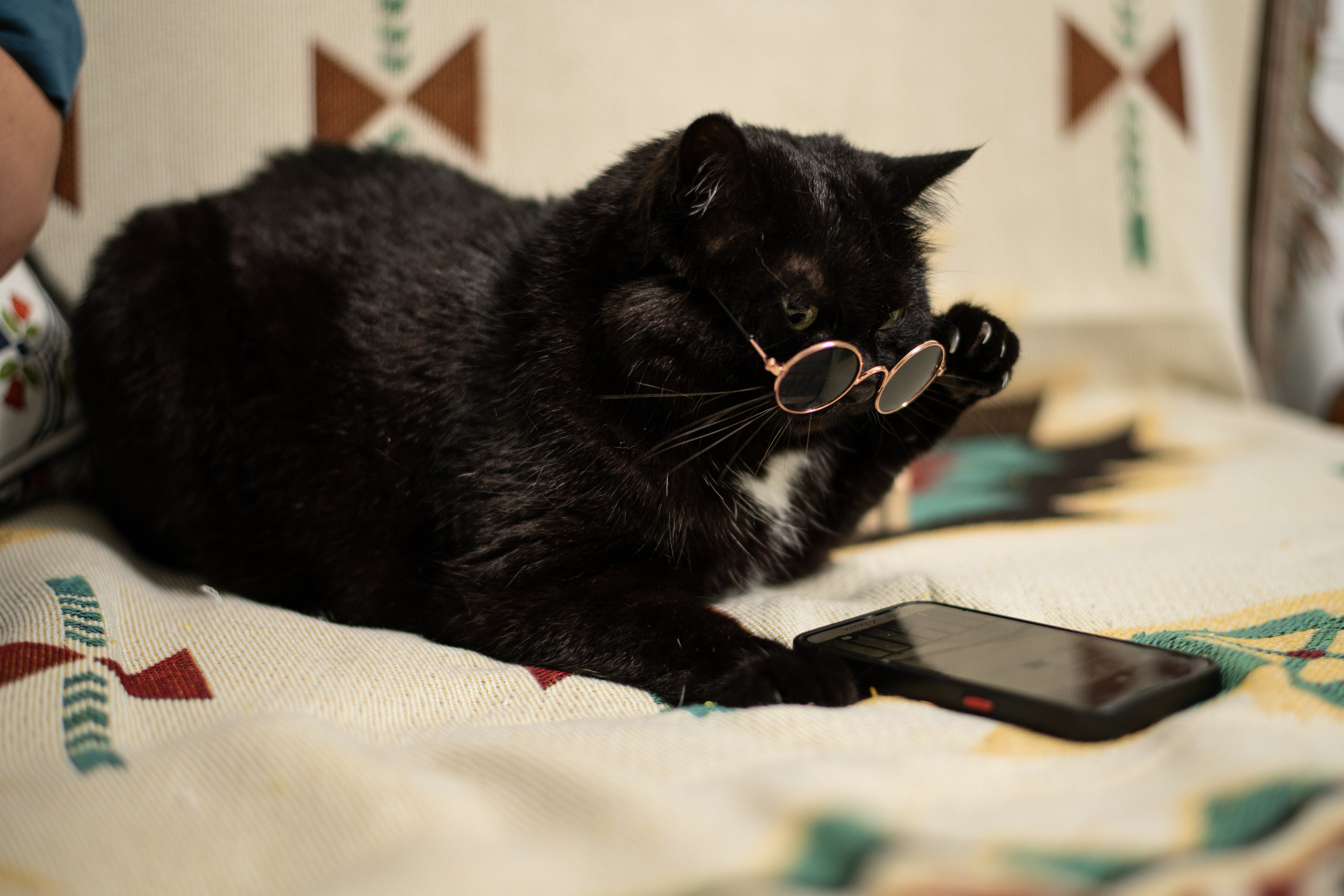 Свадьба и семья. Фотографы Дарья и Дмитрий Арсентьевы