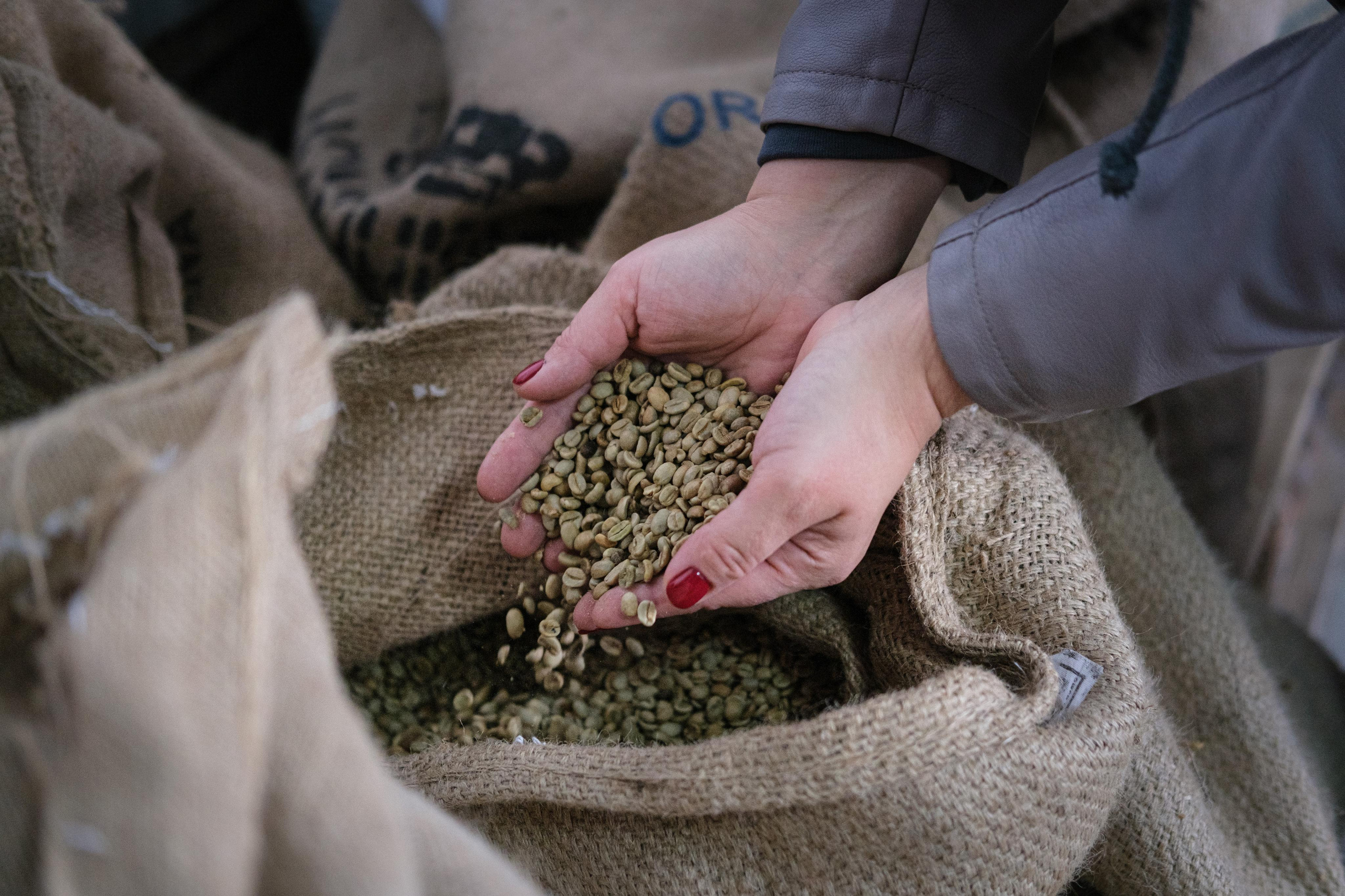 Контент. Фотографы Дарья и Дмитрий Арсентьевы