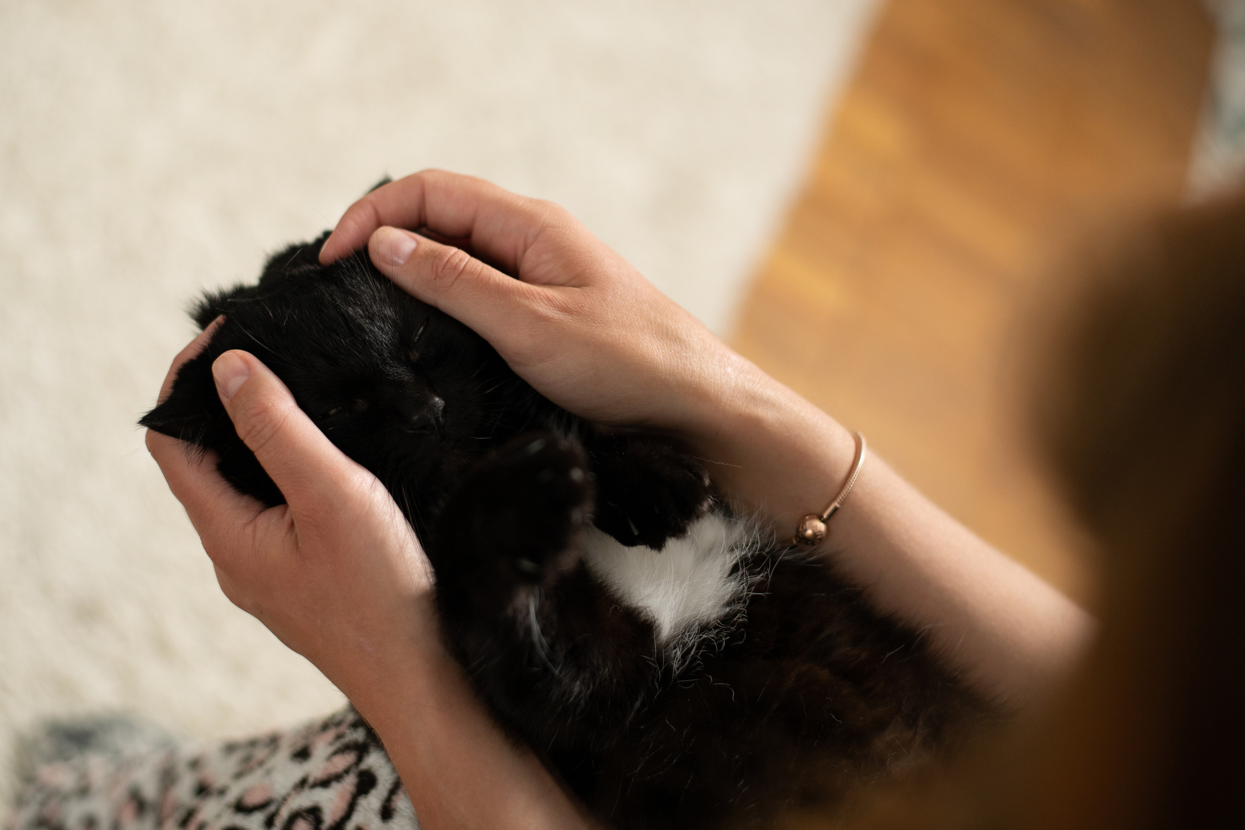 Свадьба и семья. Фотографы Дарья и Дмитрий Арсентьевы