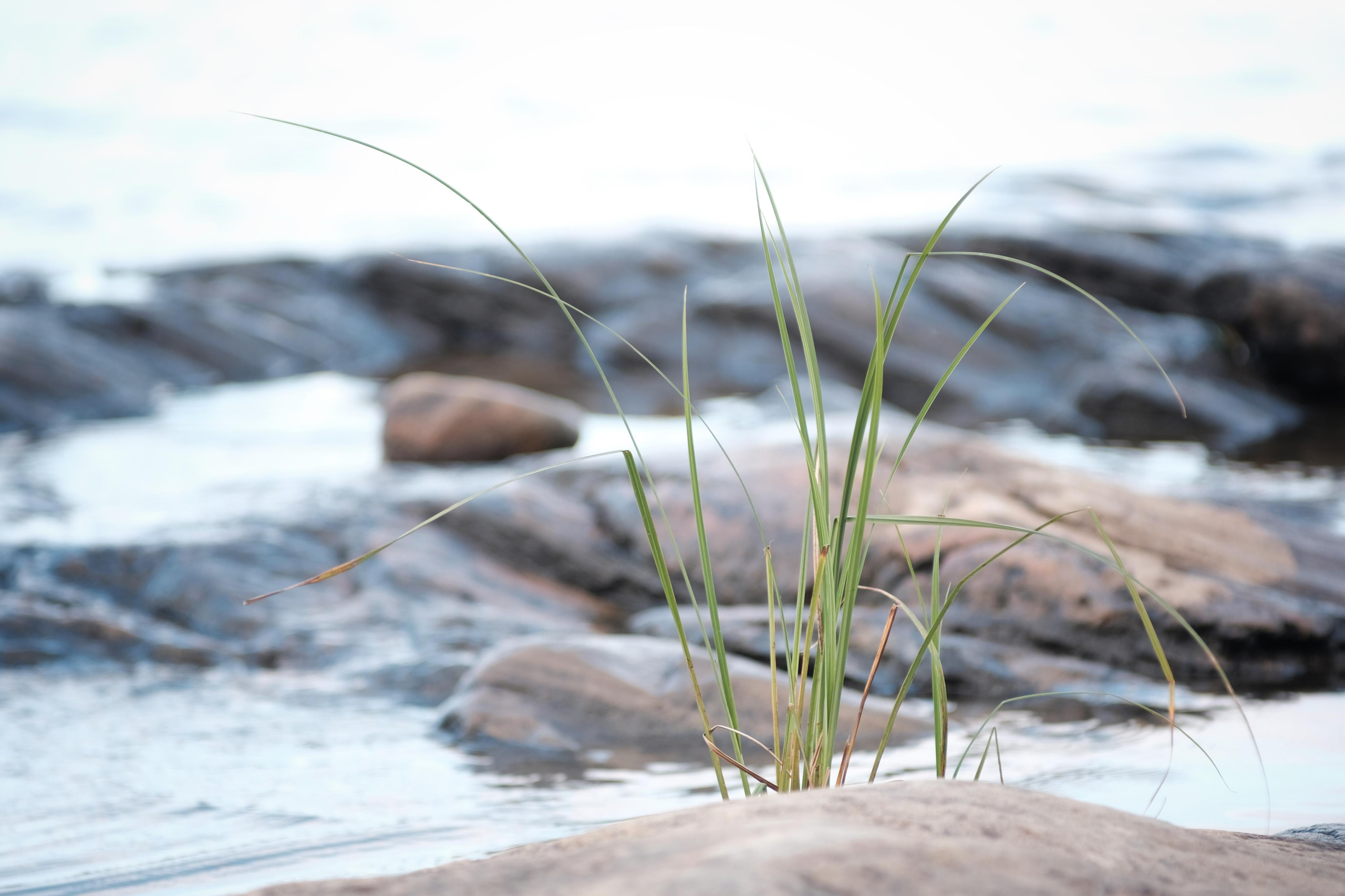 Fotógrafos Daria y Dmitry Arsentyevs