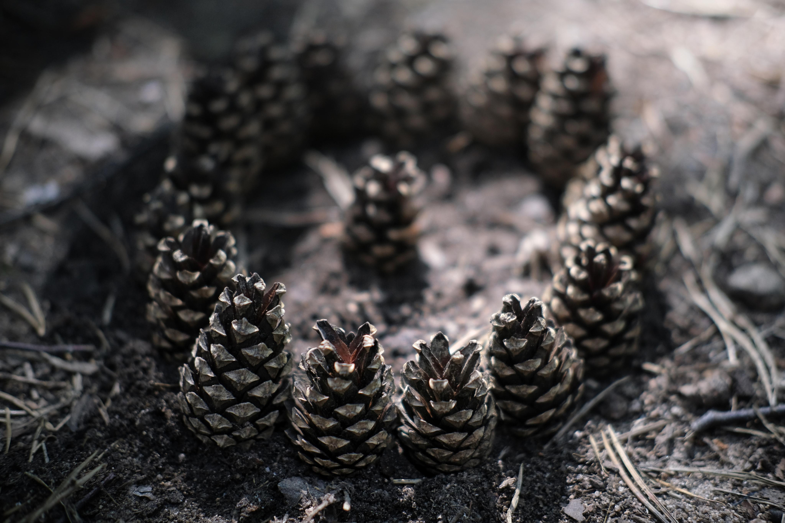 Fotógrafos Daria y Dmitry Arsentyevs