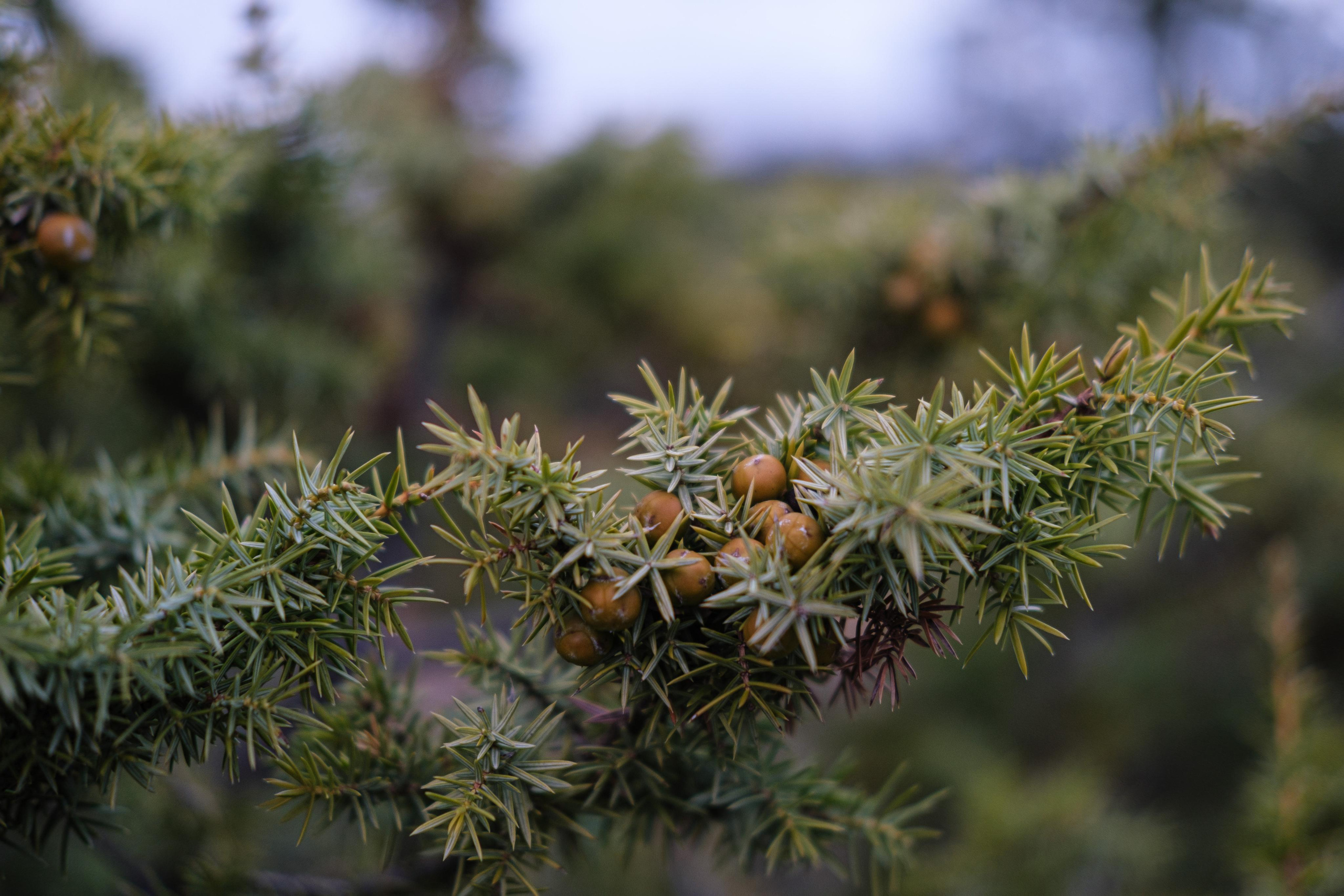 Fotógrafos Daria y Dmitry Arsentyevs