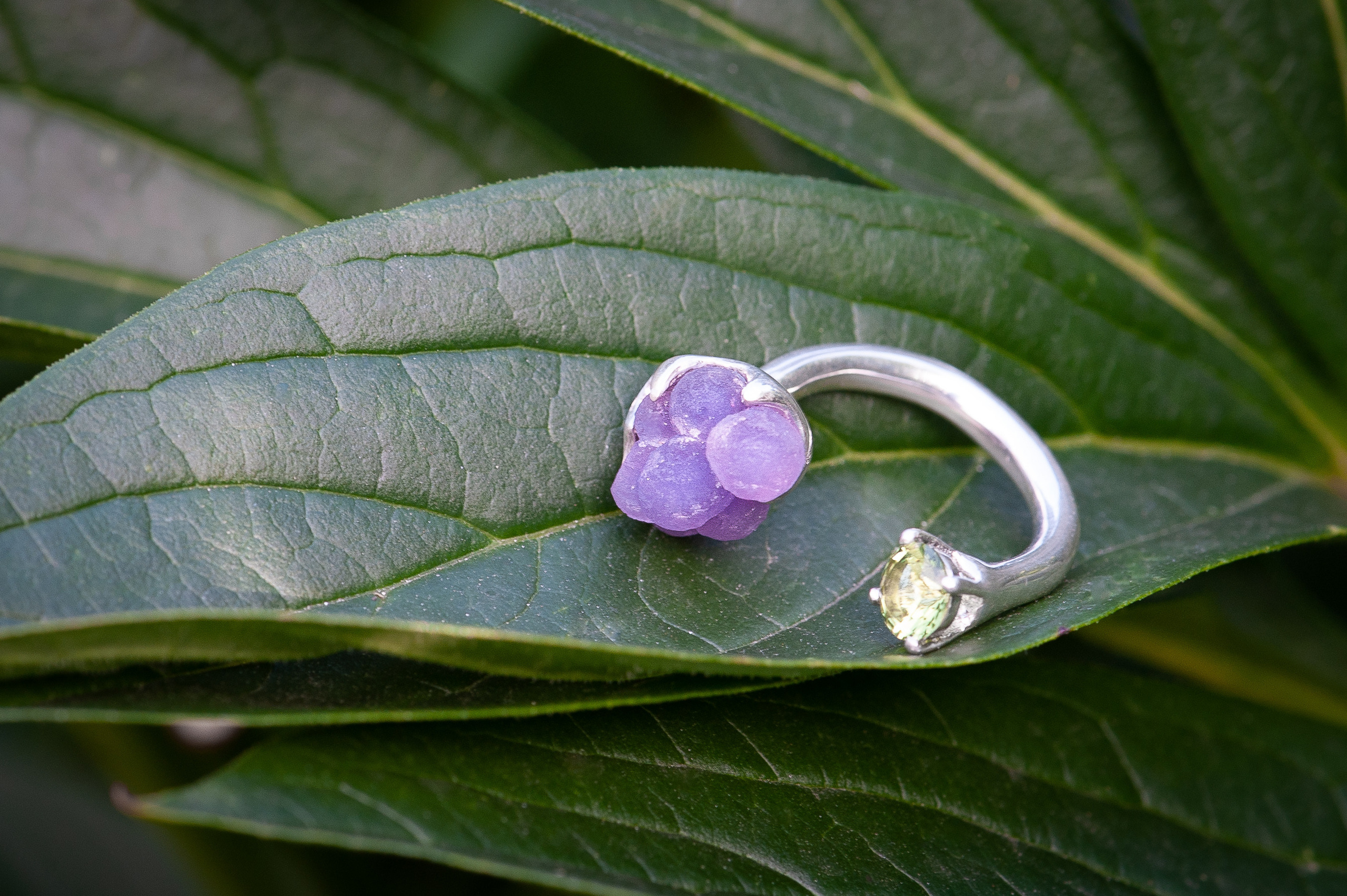 Контент. Фотографы Дарья и Дмитрий Арсентьевы