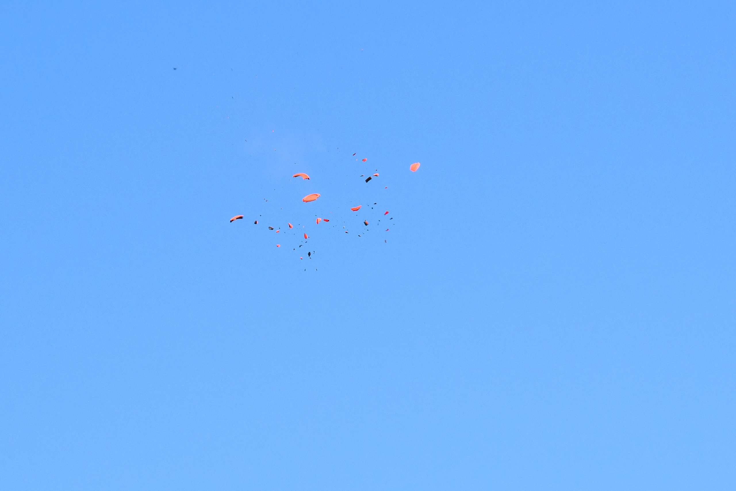 InfiRay Latvia (shooting competition). Ritvars Pujats Emotion Photographer