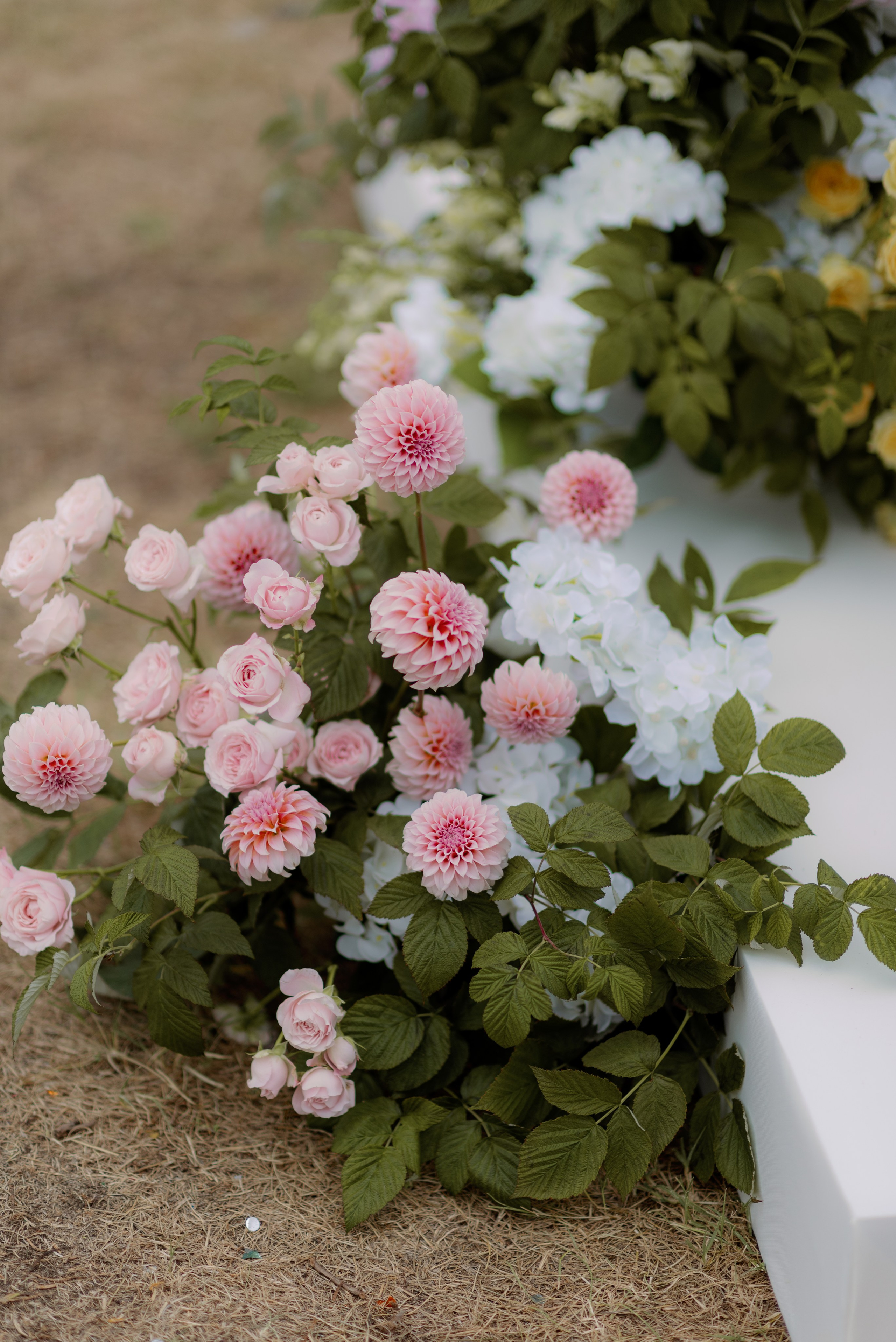 *. Maanukki photographer