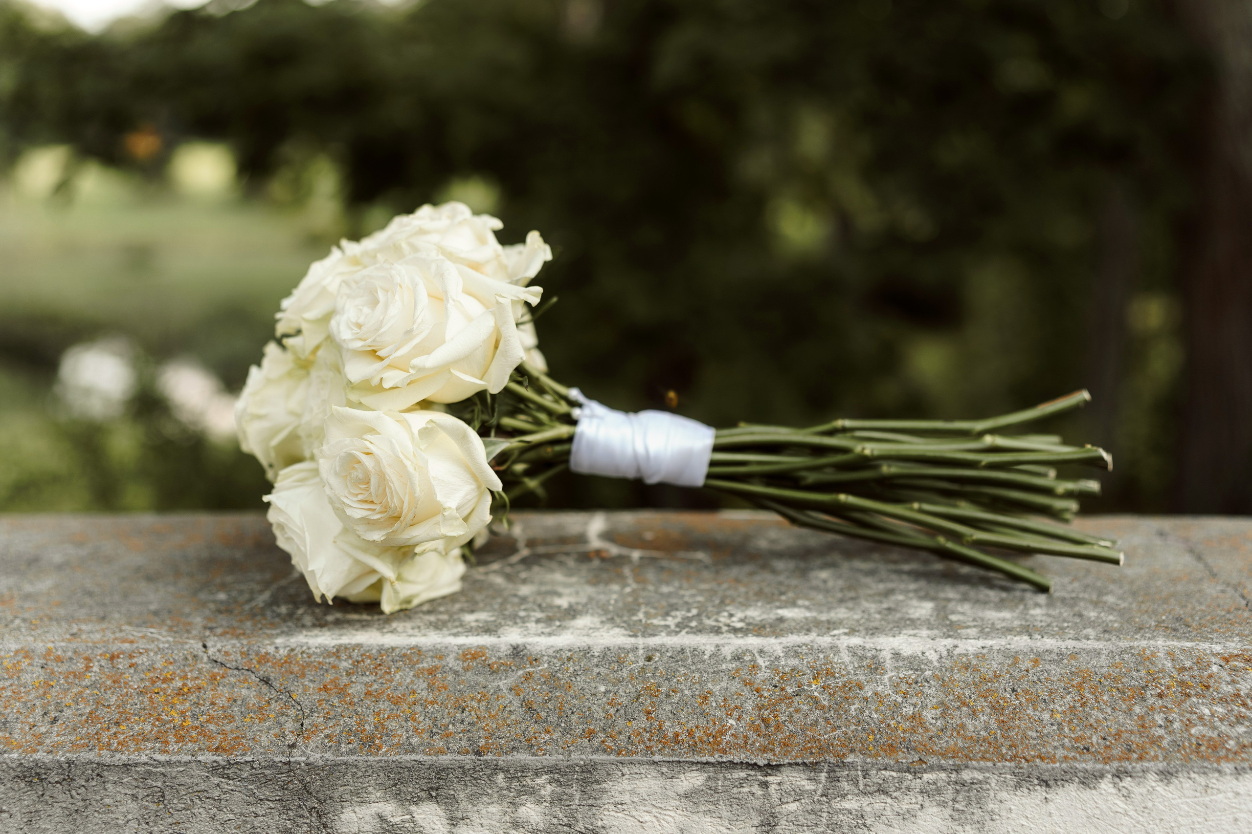 Gretos ir Marijaus vestuvių anonsas. Misevic Wedding — Jausminga ir Profesionali Vestuvių Fotografija