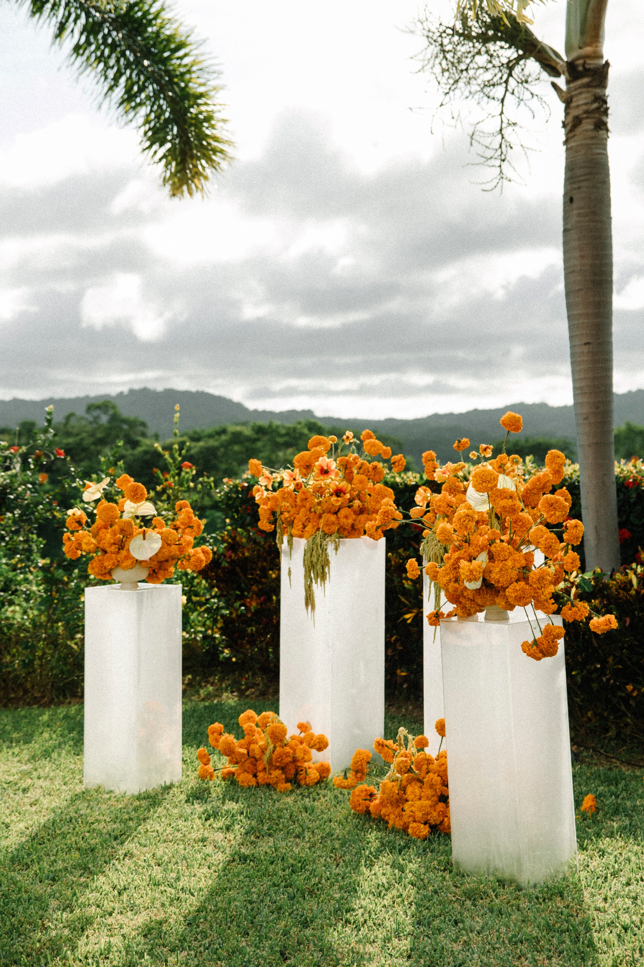Wedding photographer Mexico Sayulita Puerto Vallarta Punta Mita Cabo