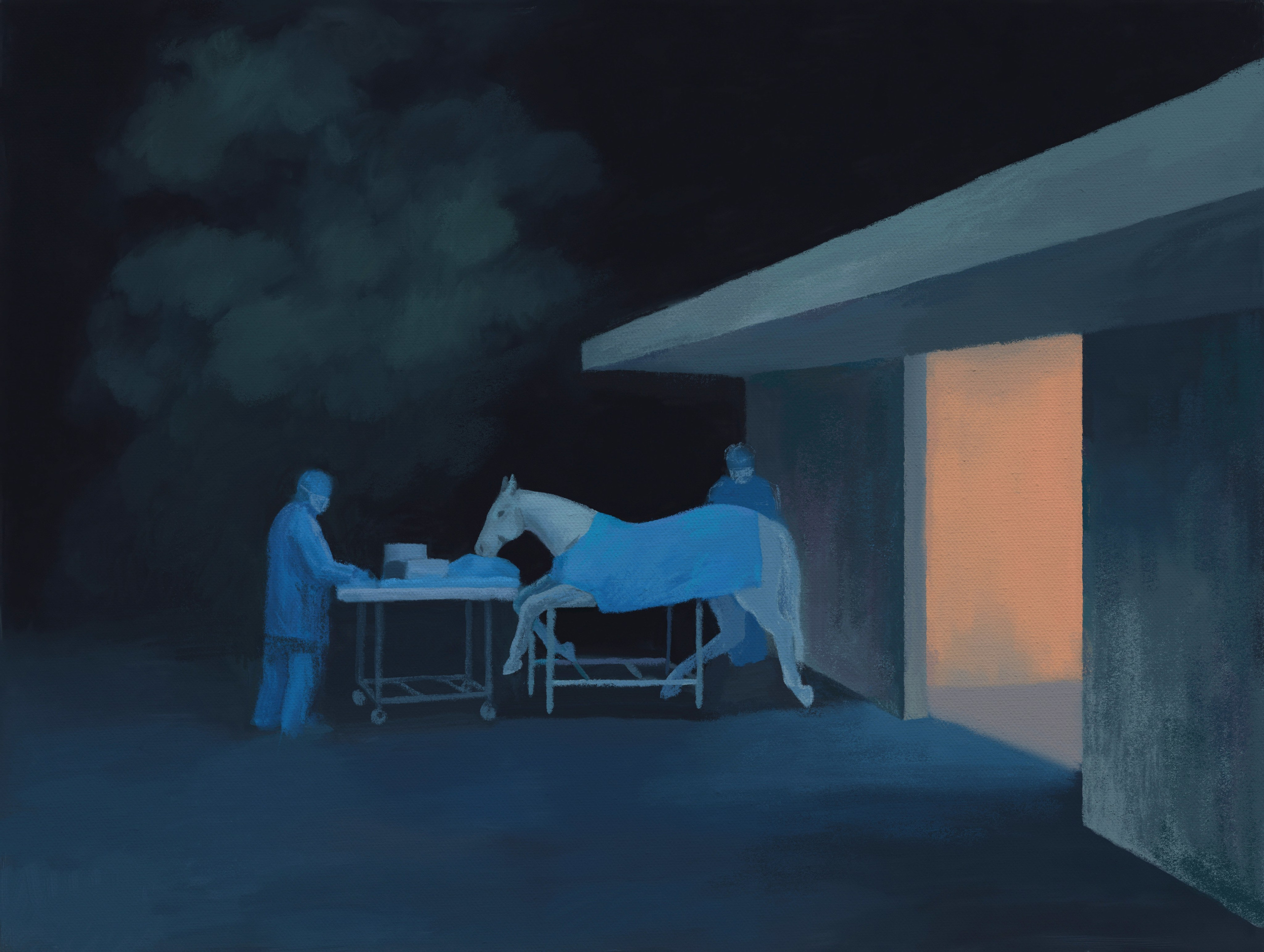 Horse Hospital. Marina Antonova