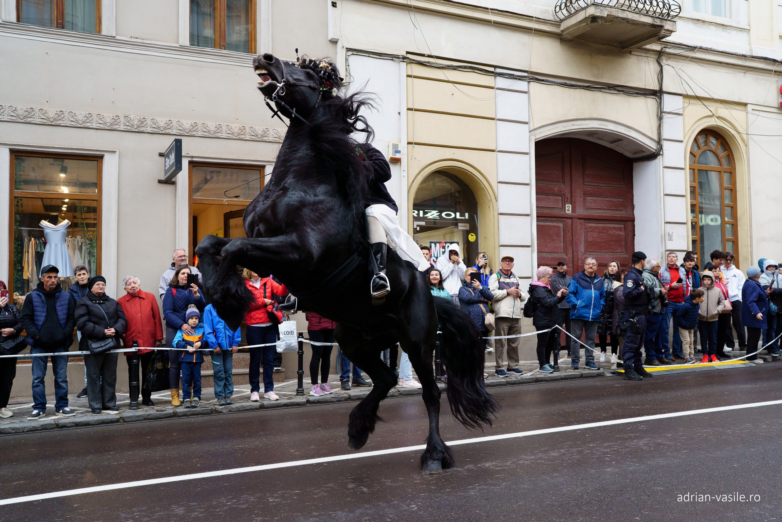 Ședințe foto. Adrian Vasile Fotograf de nuntă Brașov