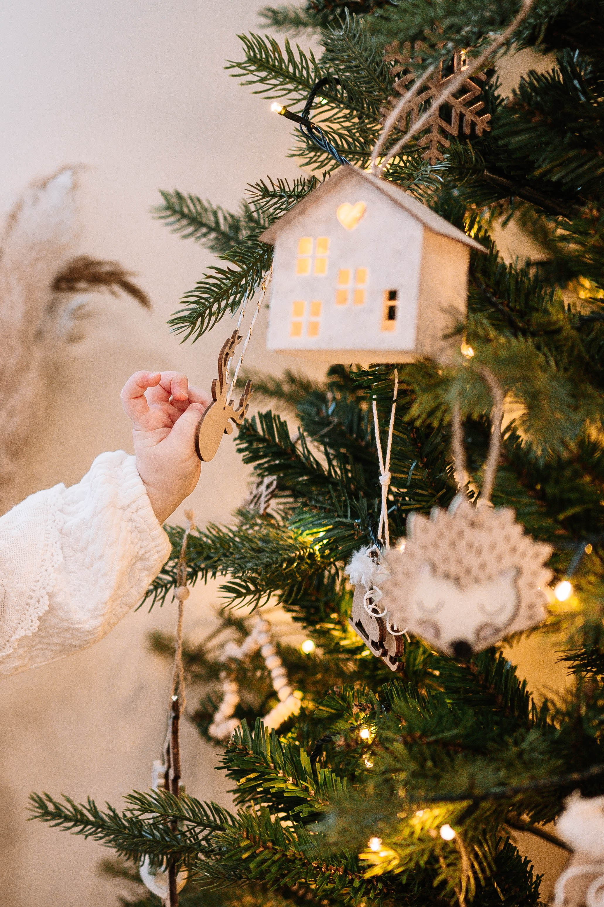 Vera - novogodišnje fotografisanje. Dečiji i porodični fotograf