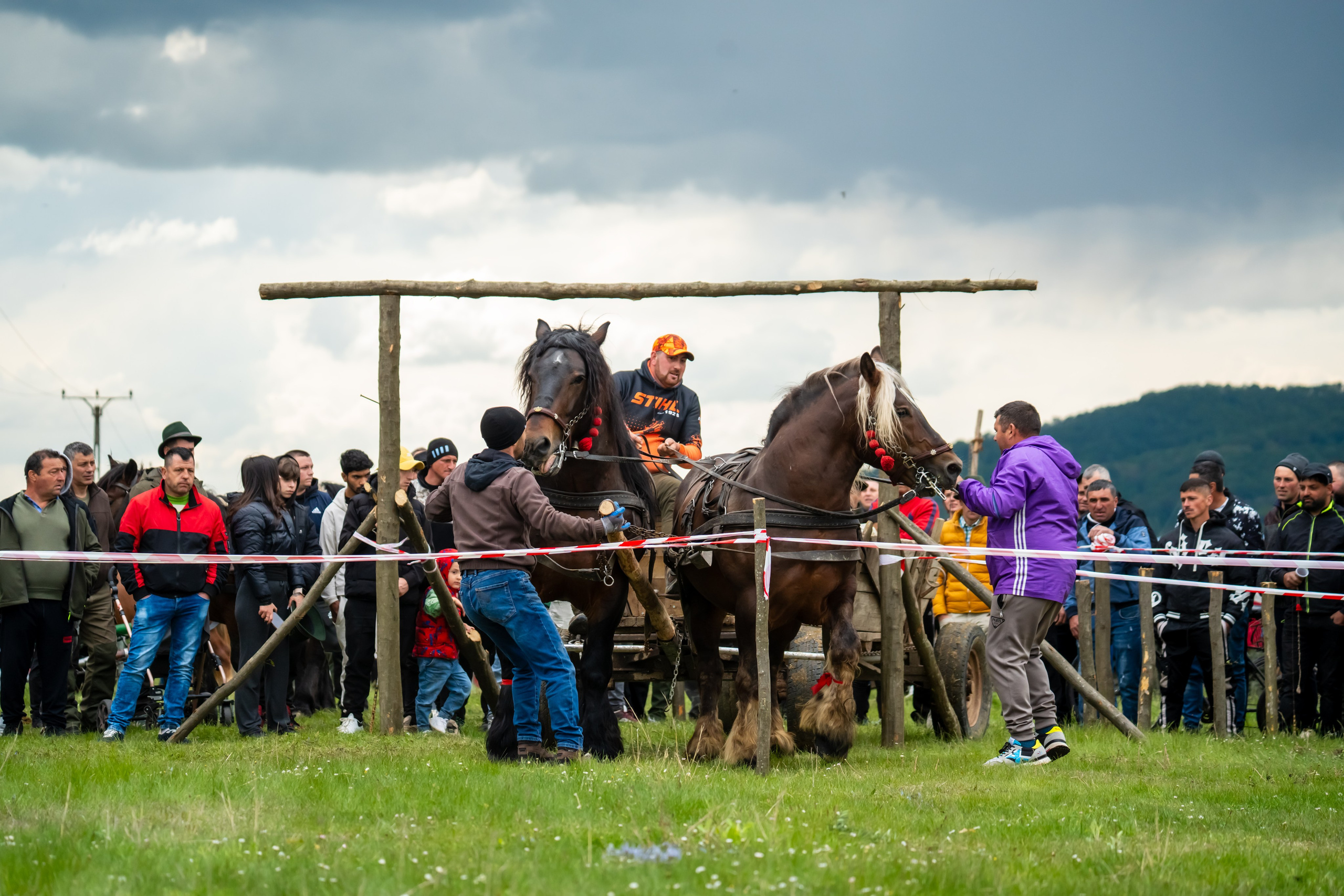 Concurs Ecvestru Vărbilău ediția a 4-a. Mihai Alexandra Events