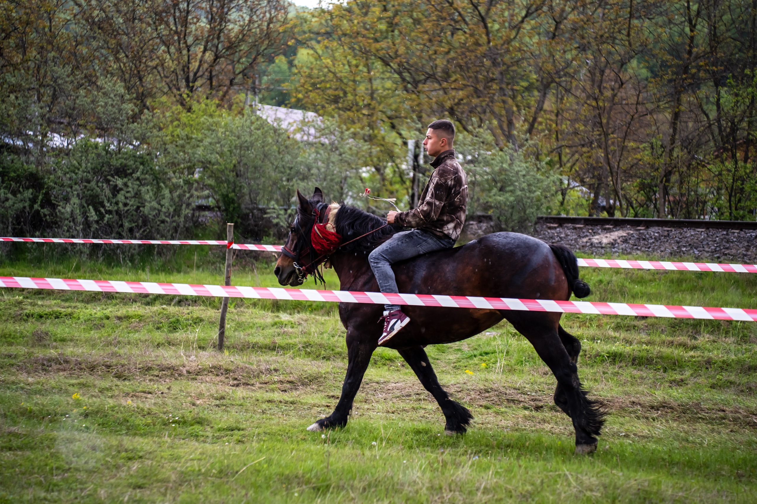 Concurs Ecvestru Vărbilău ediția a 4-a. Mihai Alexandra Events
