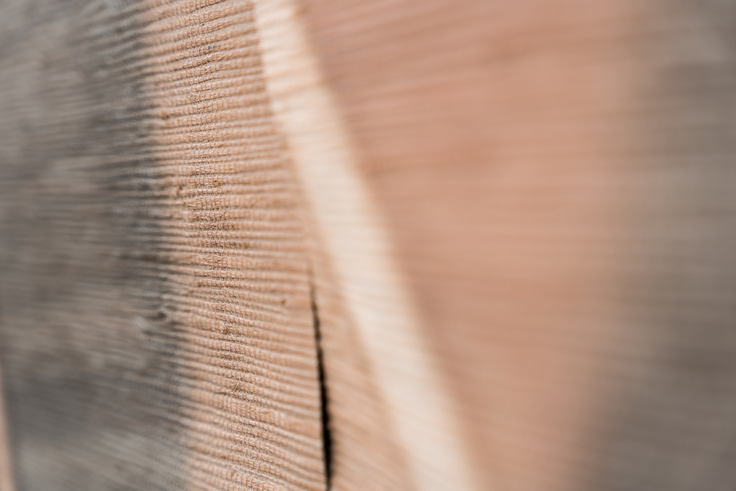 Evento aziendale Wall&Decò 2025. Fotografia e video