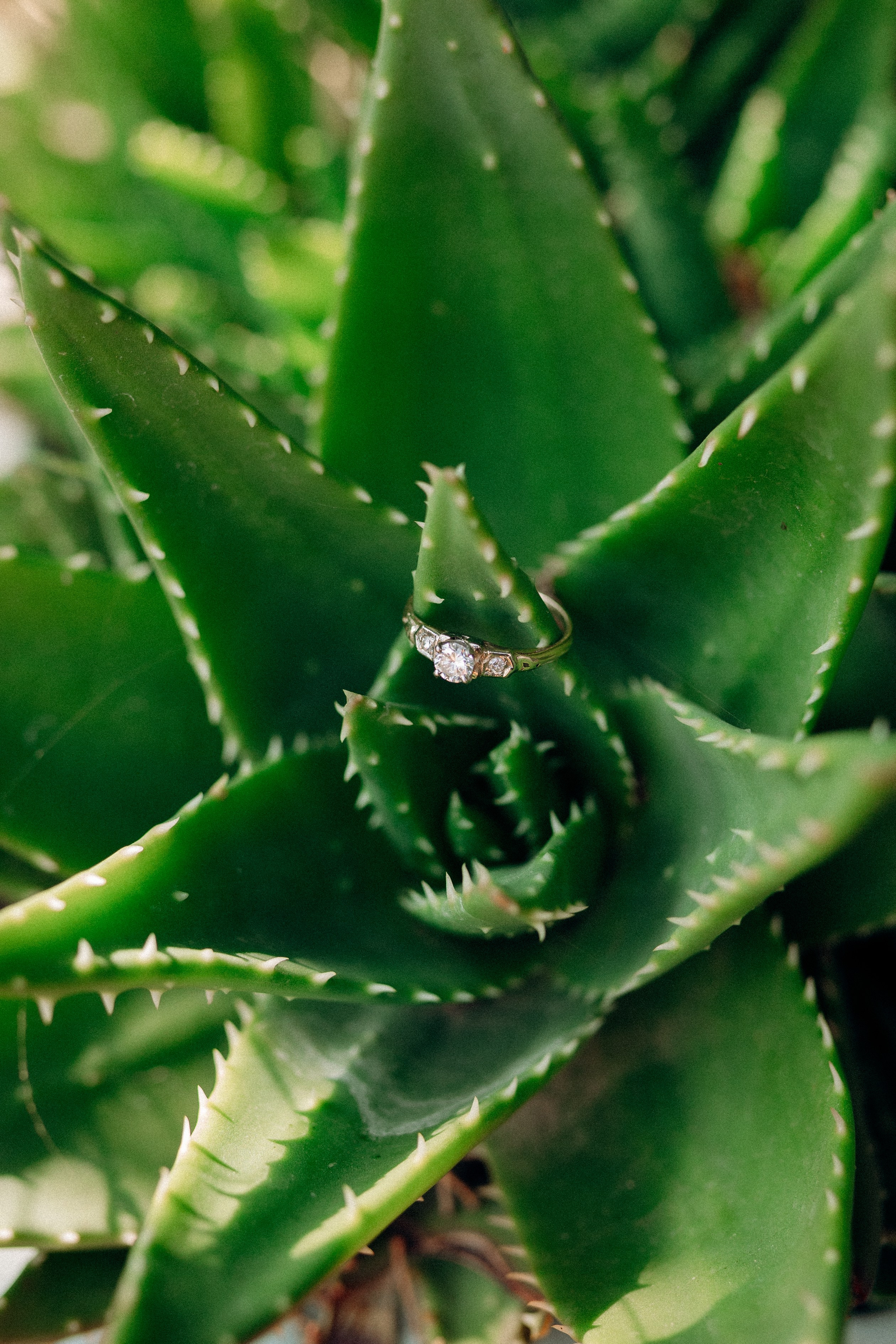 PRICE LIST. PHOTOGRAPHER IN ISRAEL