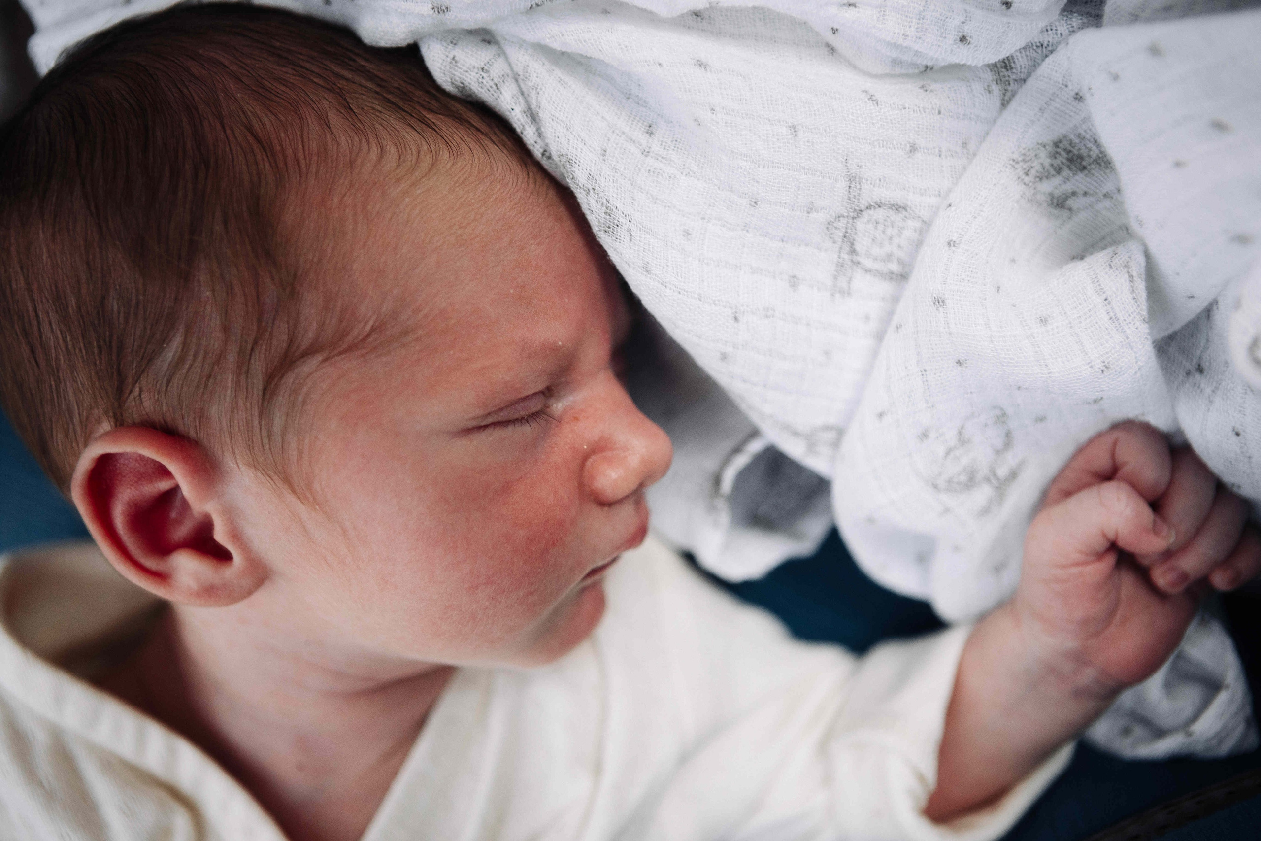 BRIT MILA IN NATURE IN JERUSALEM. Https://shi-photo.com/