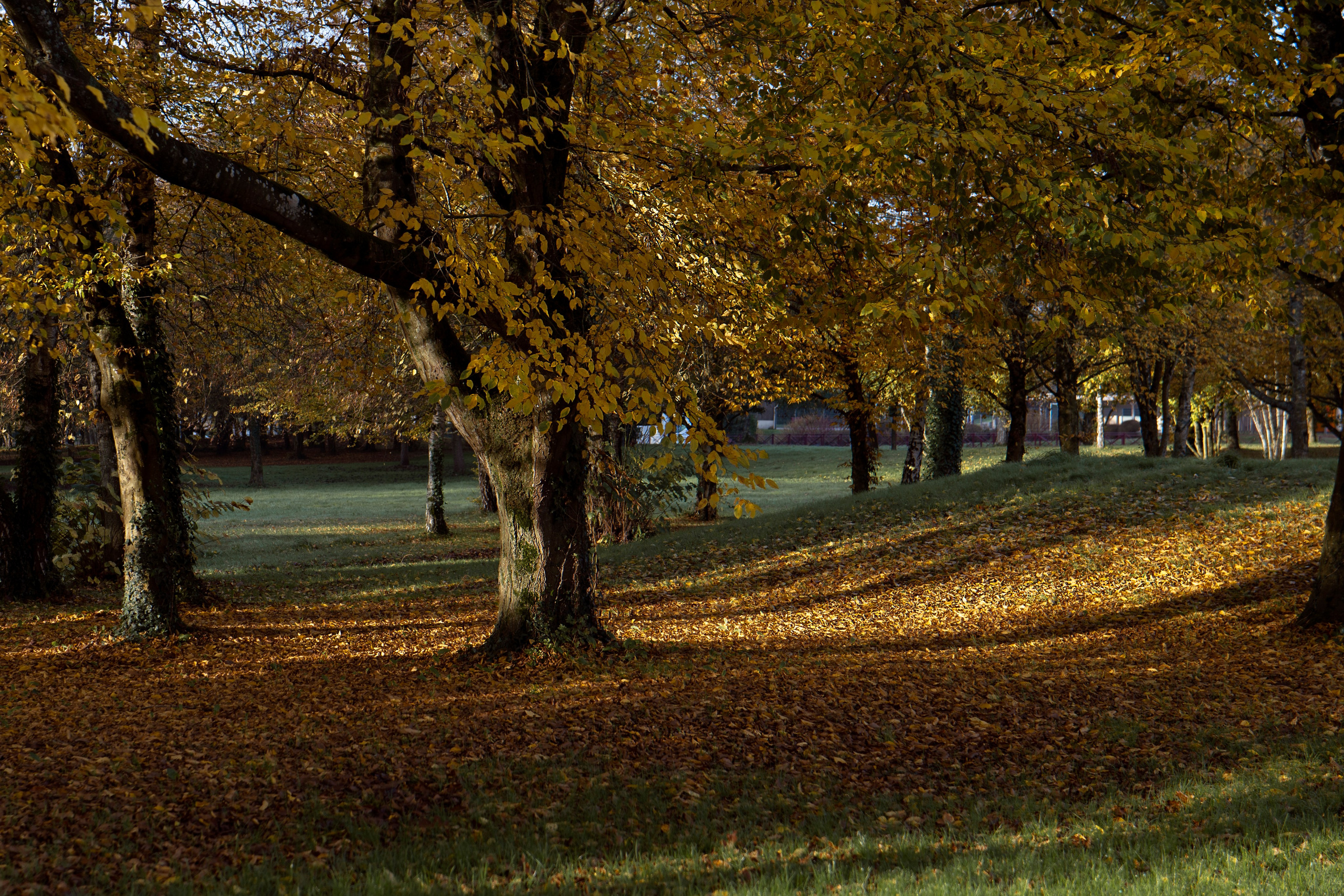 Paysages. Portrais créatifs de familles et individuels, Ile et Vilaine, France