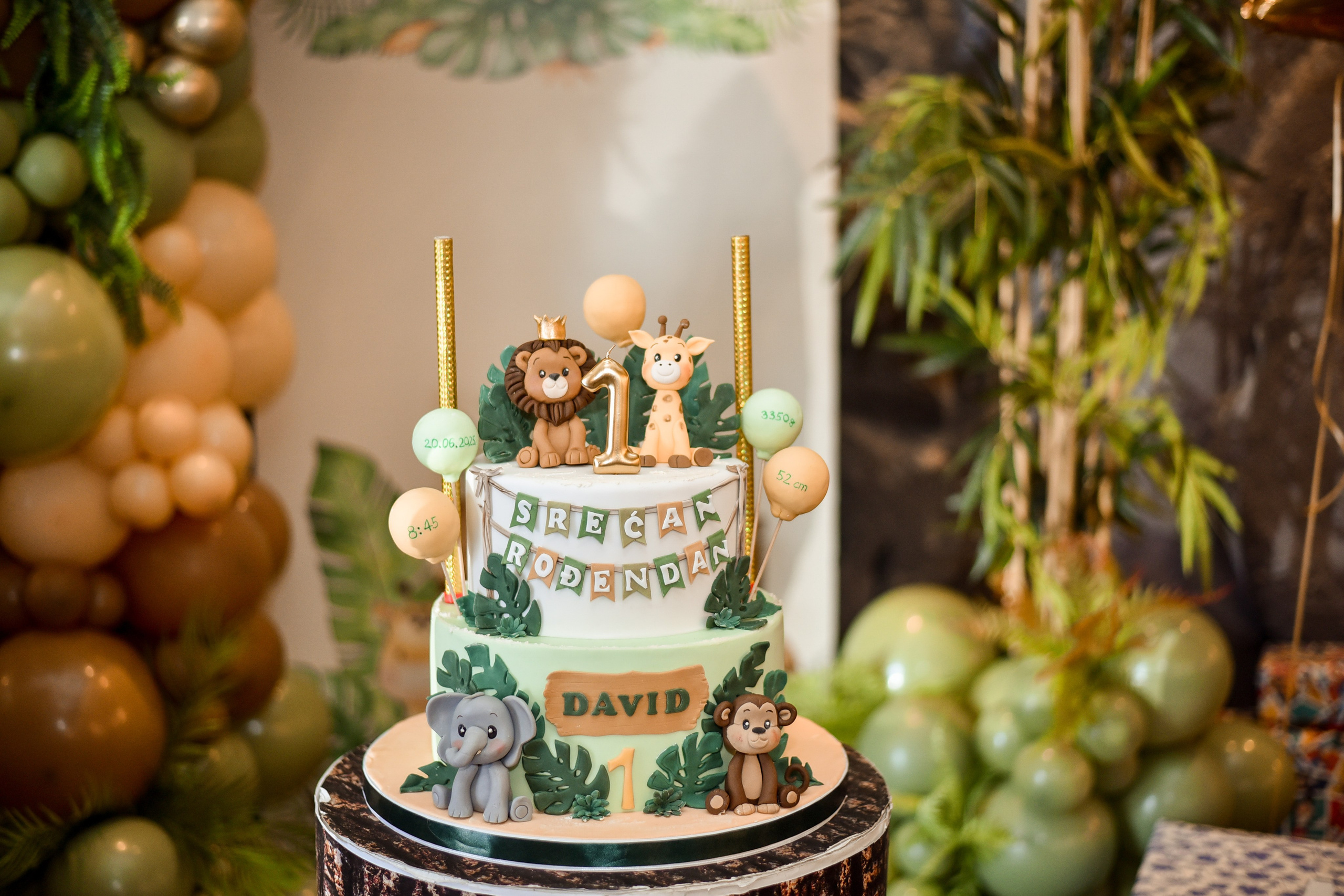 Proslava prvog rodjendana / celebrate first birthday