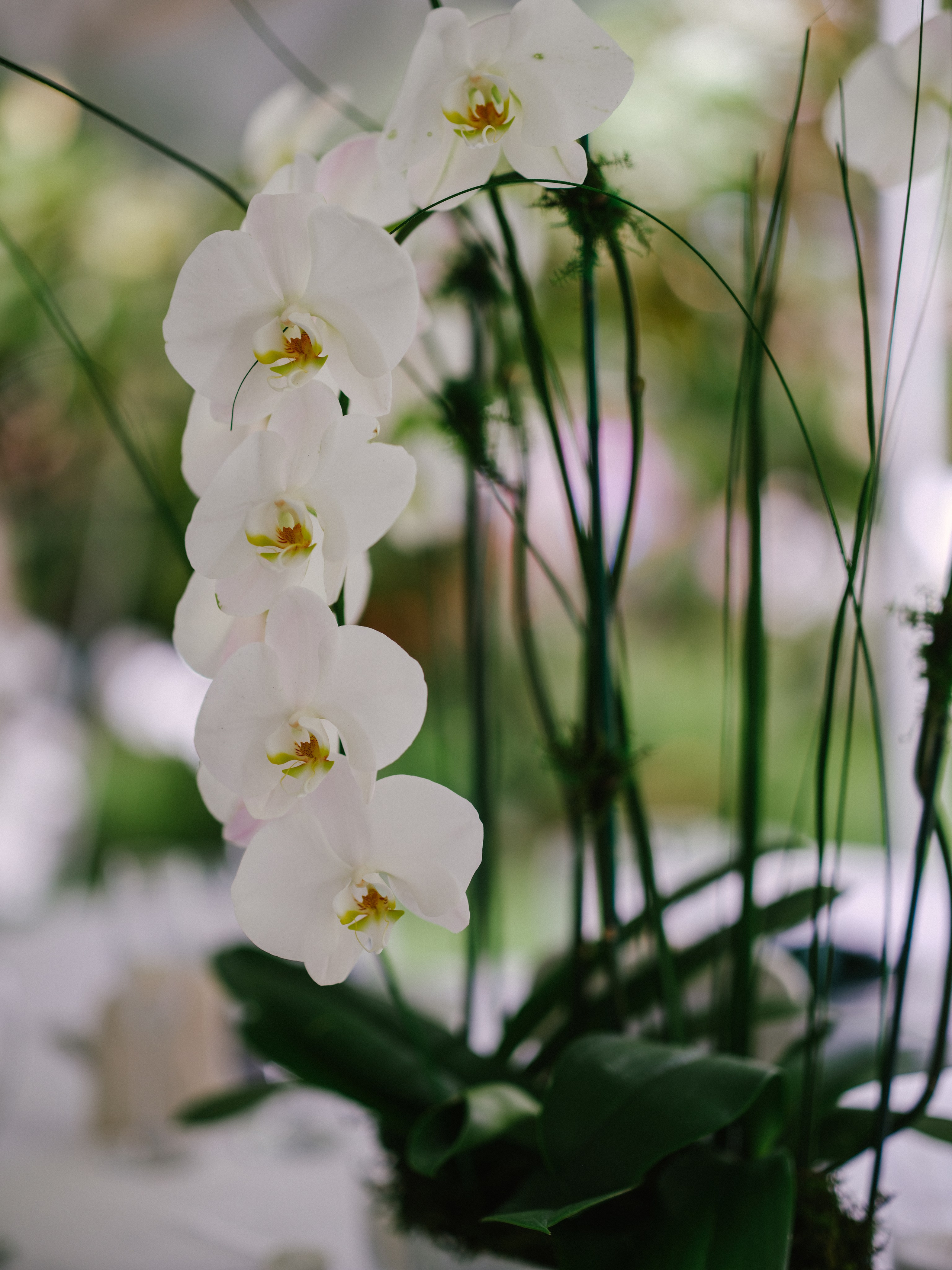 IRINE AND DENNY. Florida destination wedding photographer