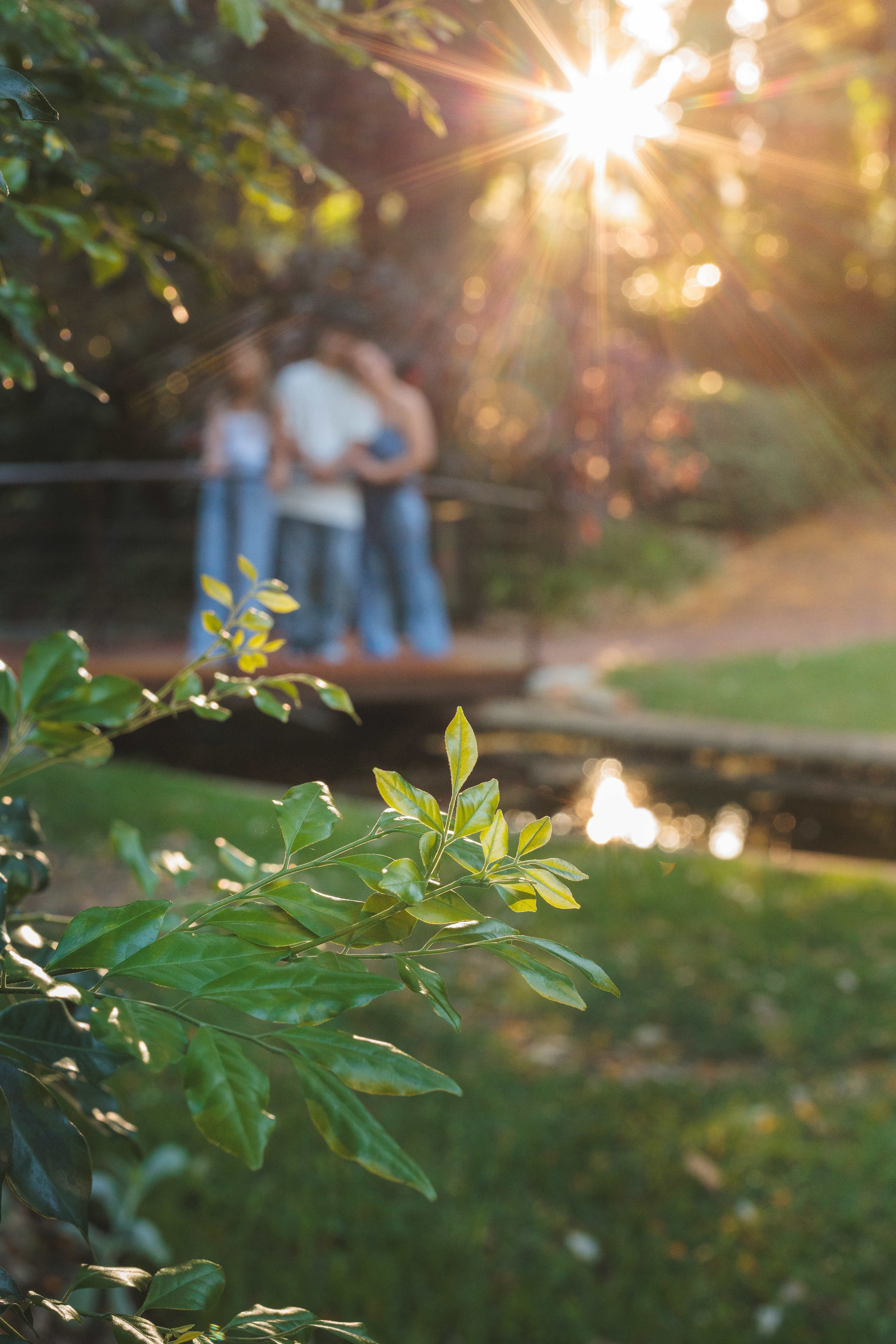 Photos from different family photoshoots