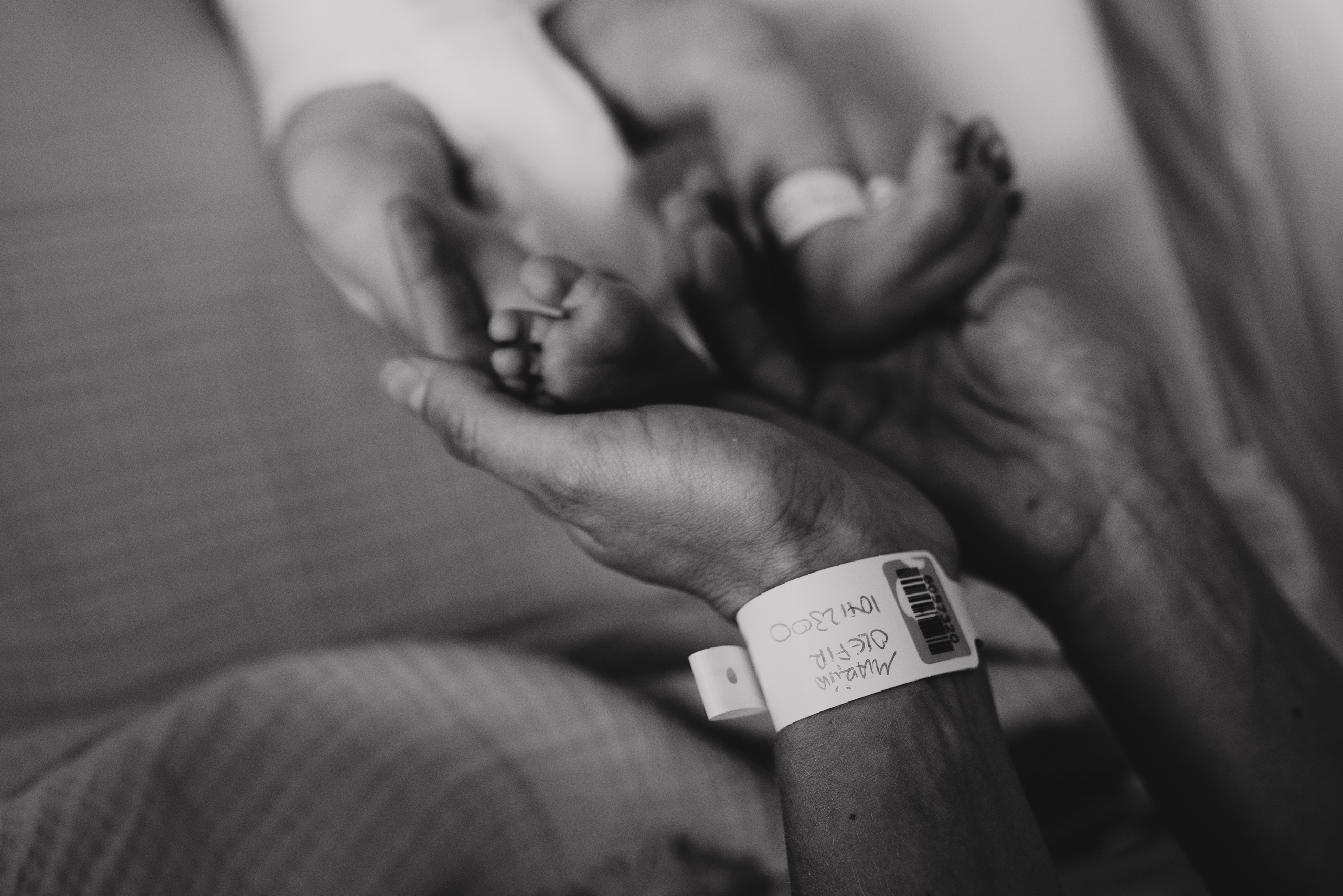 Fresh 48. Https://newbornphoto.wfolio.pro/me