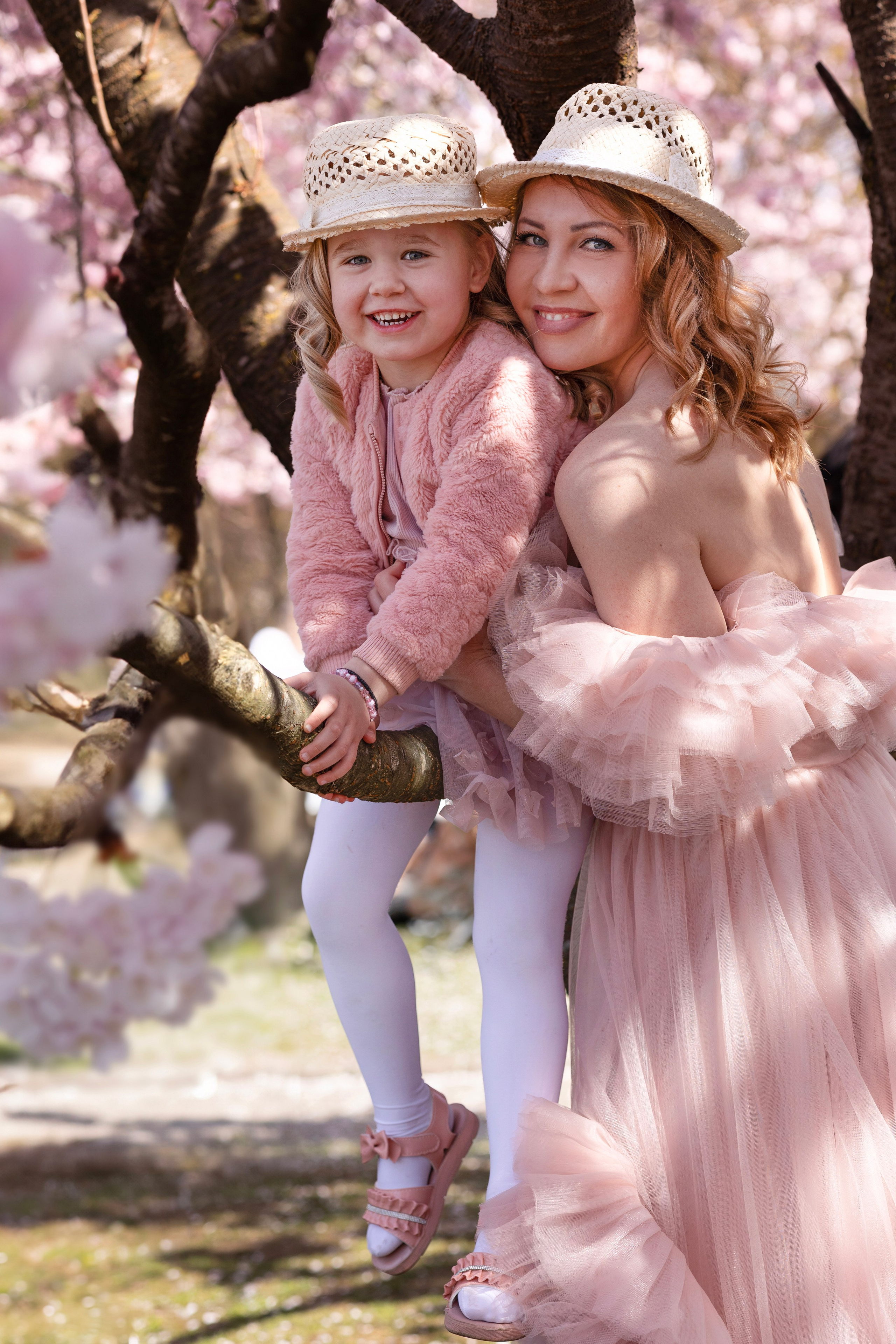 Cherry Blossoms in Munich. Photographer in Munich