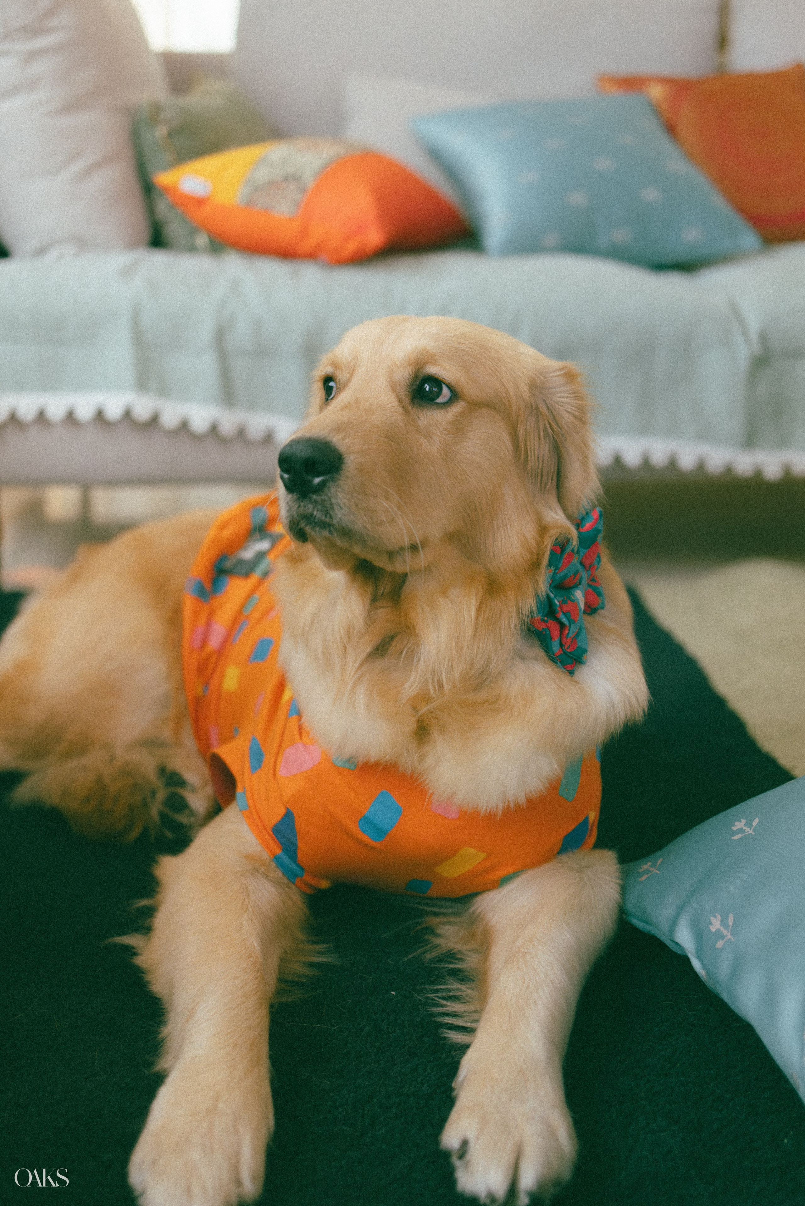 Prerna & Kunal. Wedding & Editorial Photographer | Anandshivadas