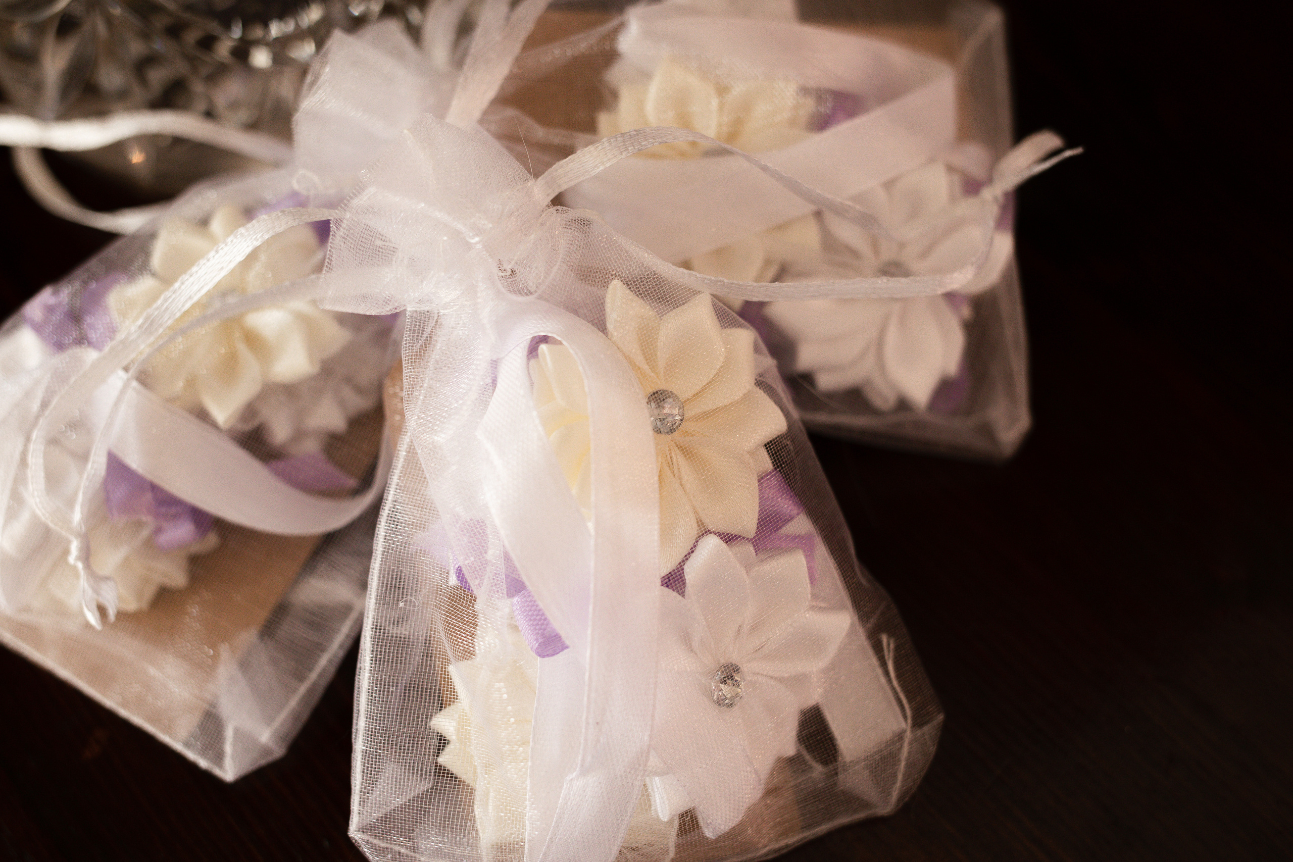 Stefania and Daniele. Photographer in Milan |Mila Pro Photo