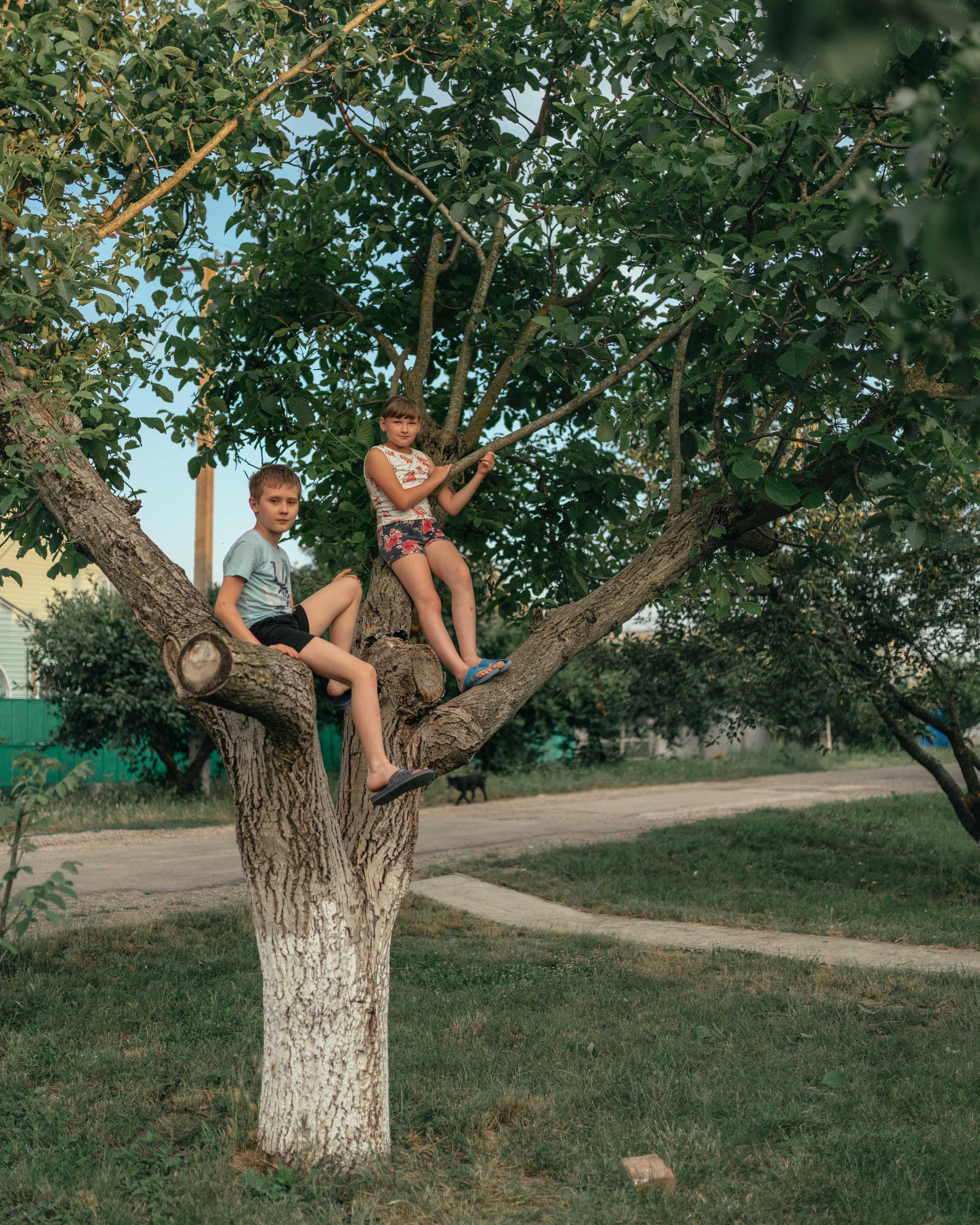 Island | Anastasiia Nelen photographer