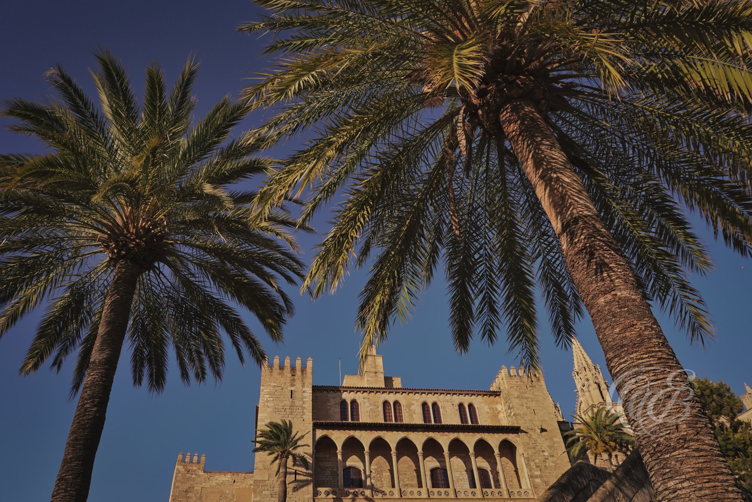 Bathed in the warm tones of the evening light, the Royal Palace of La Almudaina stands prominently above Palma’s historic waterfront, reflecting centuries of Mediterranean history and architectural influence. Originally developed as an Islamic fortress before becoming a royal residence of the Spanish Crown, the palace combines Gothic and Moorish elements that overlook the Bay of Palma. The sunset atmosphere enhances the stone textures and historic silhouette of this landmark, where the fading light settles across the ancient walls and surrounding sea. Eduardo Bartoli Photography.
