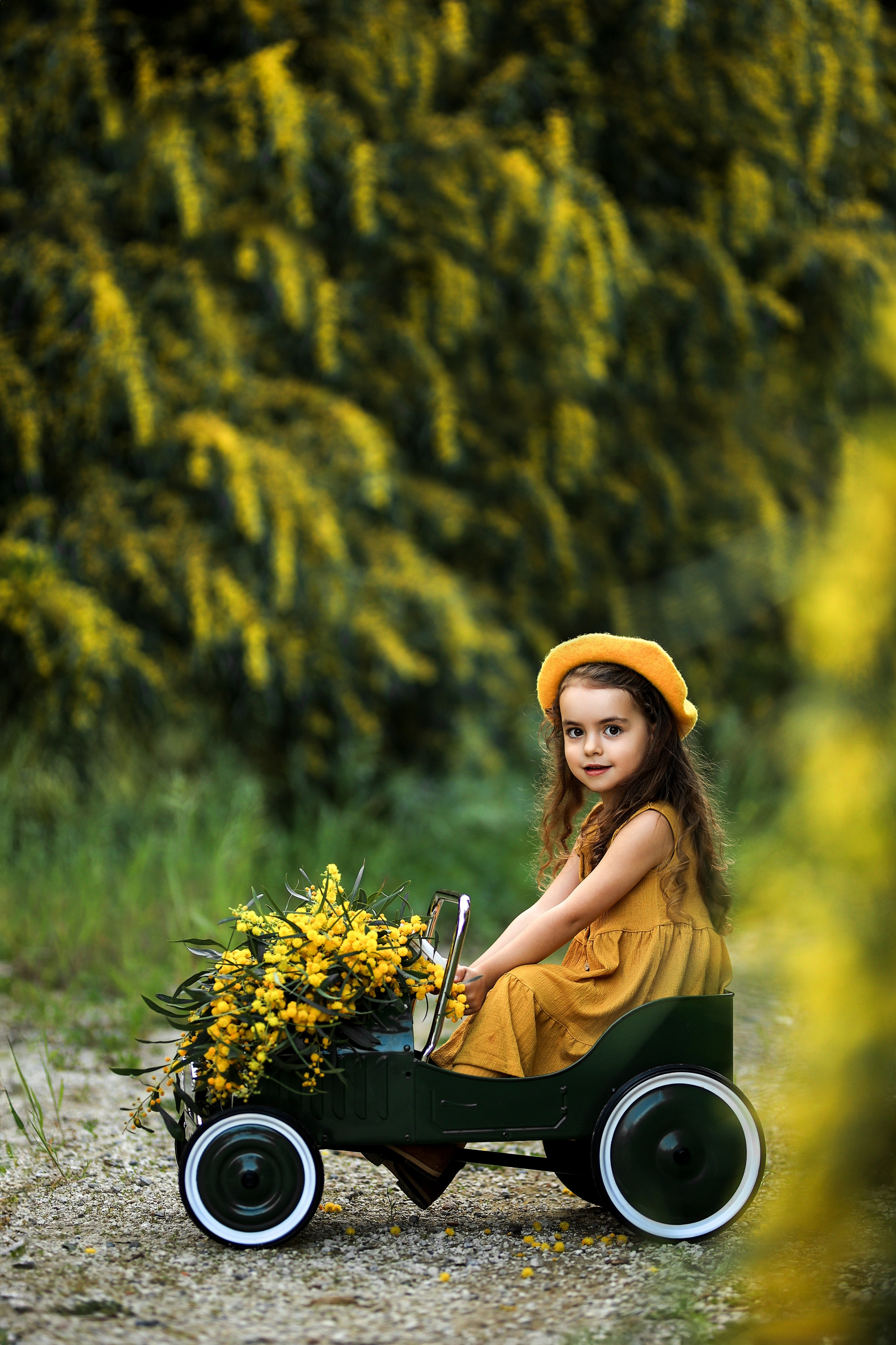 Photoshooting in mimosa. Photographer in Turkey, Antalya, Kemer, Belek, Side, Kas, Fethiye