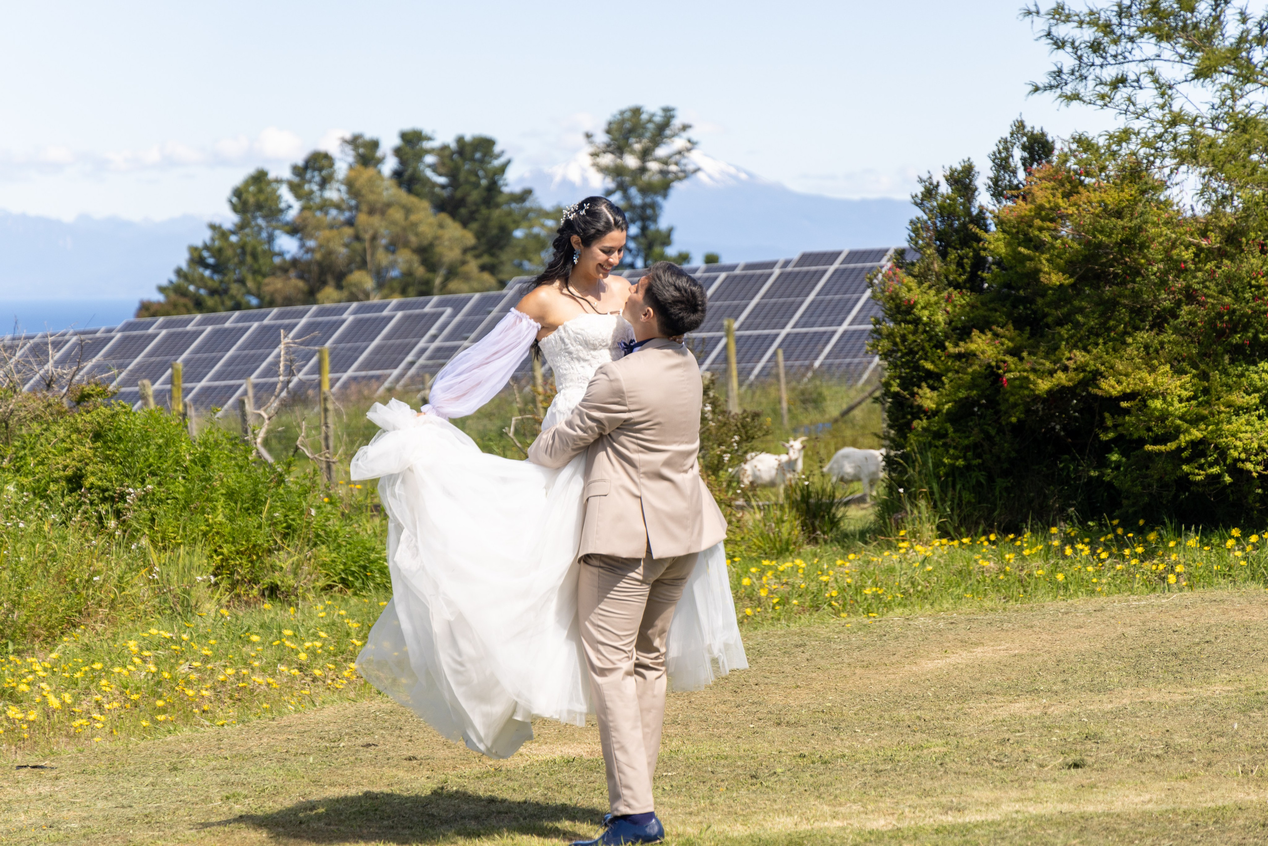 Carol & Ivo. Dinka & Emilio - El arte de preservar lo que no se repite