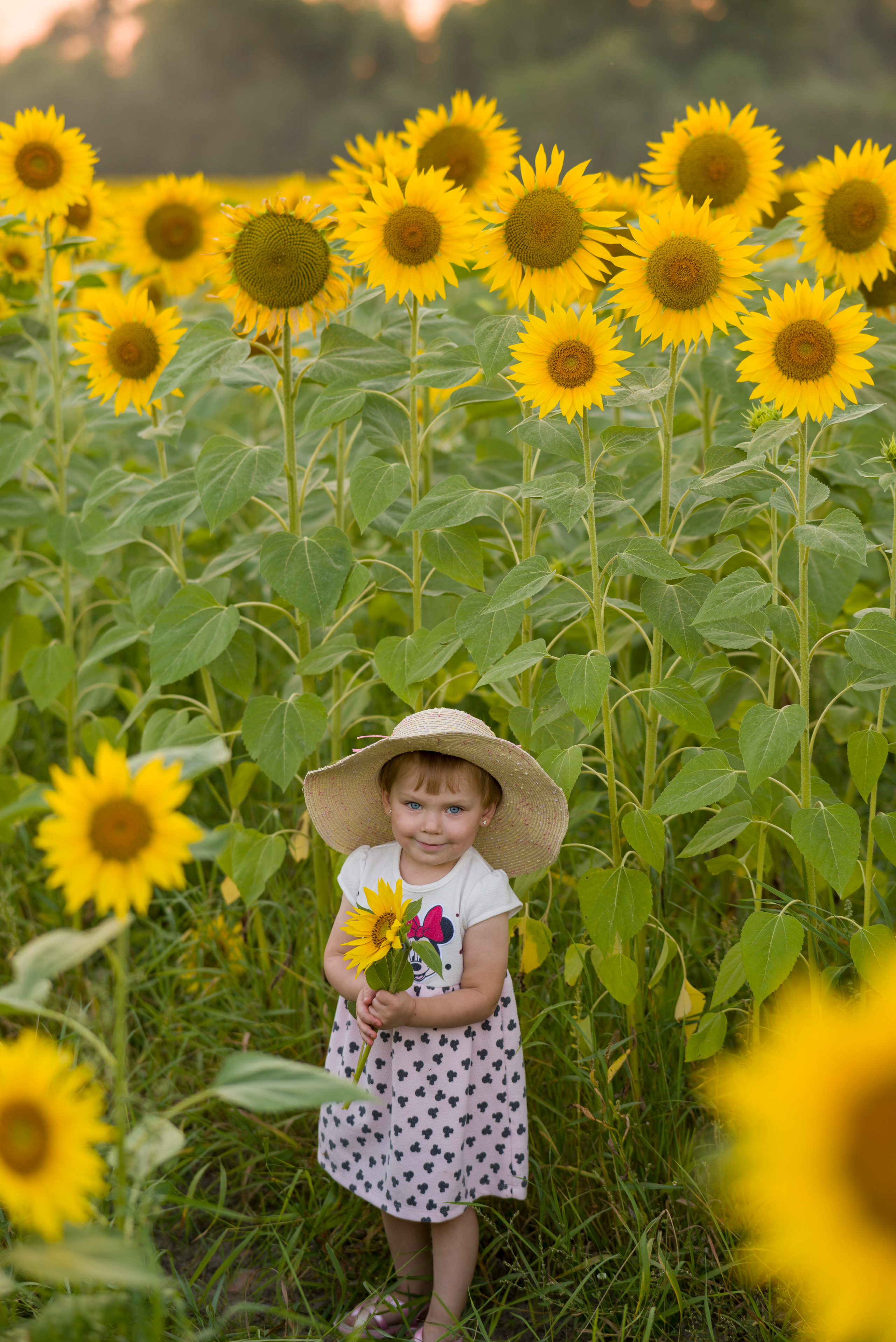 Семья. Семейный и детский фотограф в Краславе