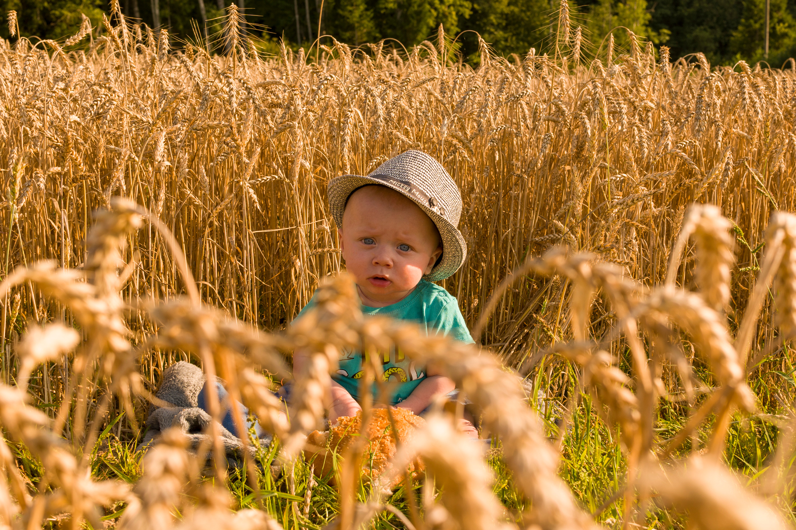 Рафаэль 6 месяцев. Семейный и детский фотограф в Краславе