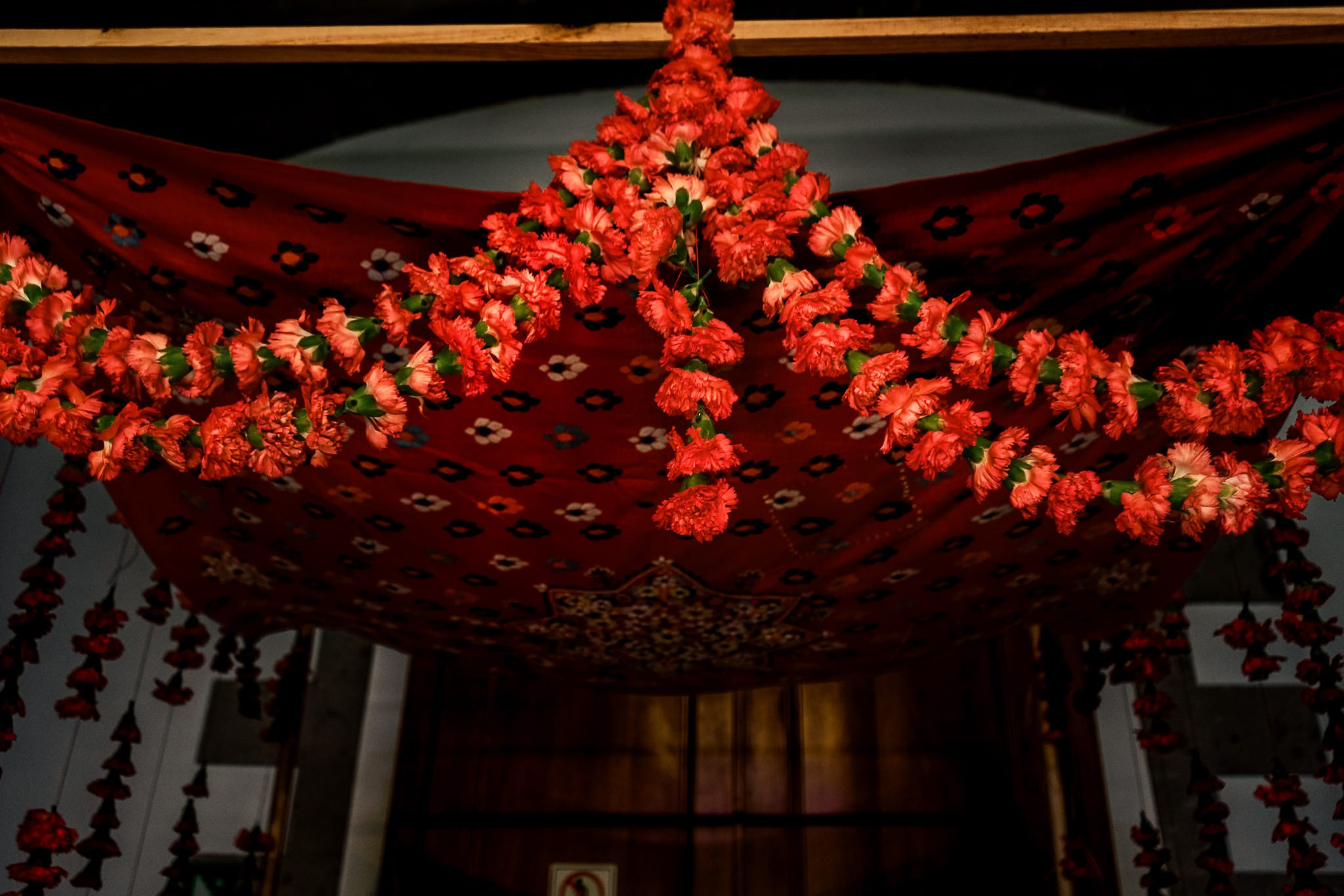 Bailey & Jacob. Wedding and family photographer in Mexico City