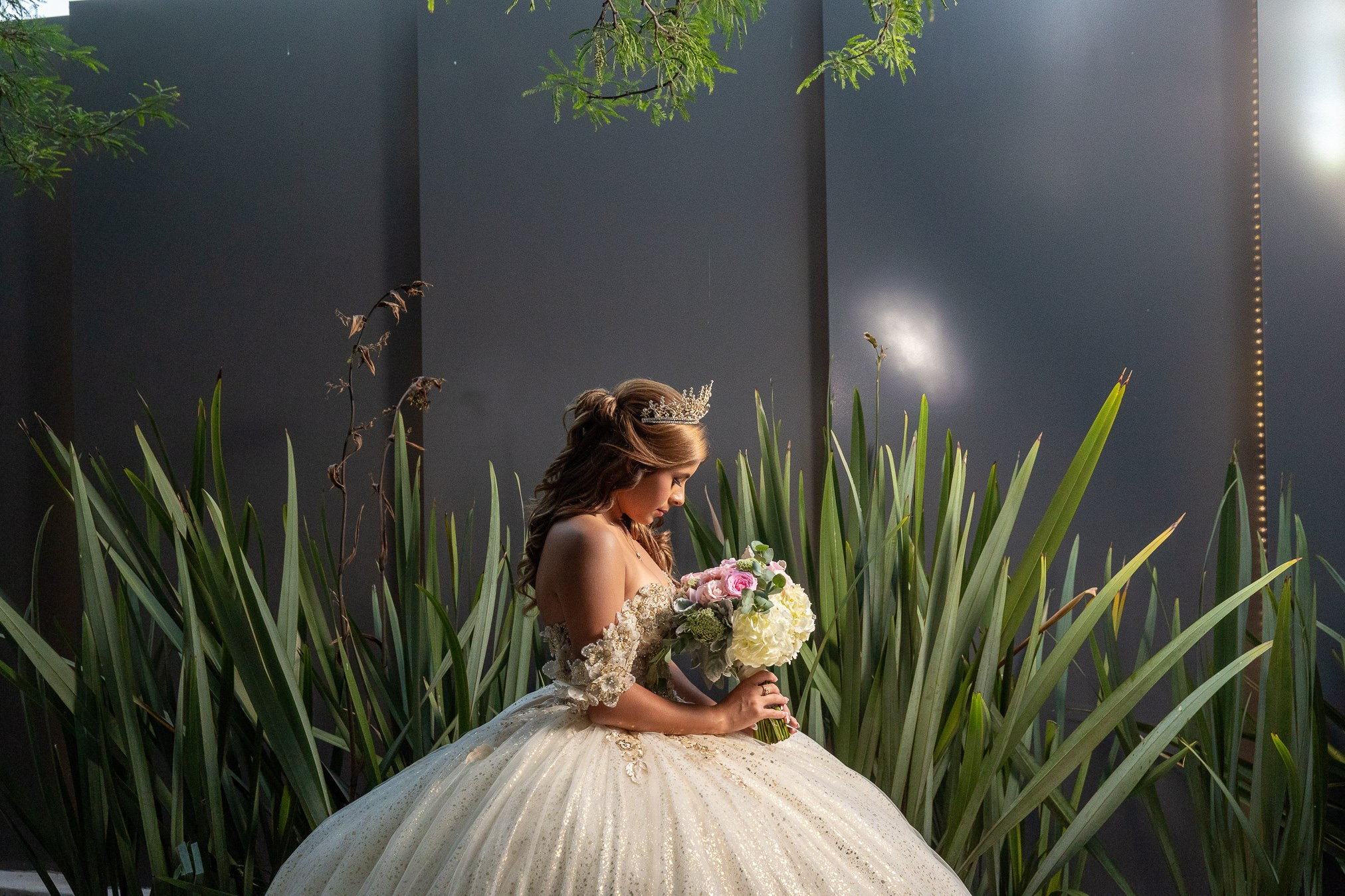 Voga XV Tijuana Betsy. Estudio de fotografia en Tijuana