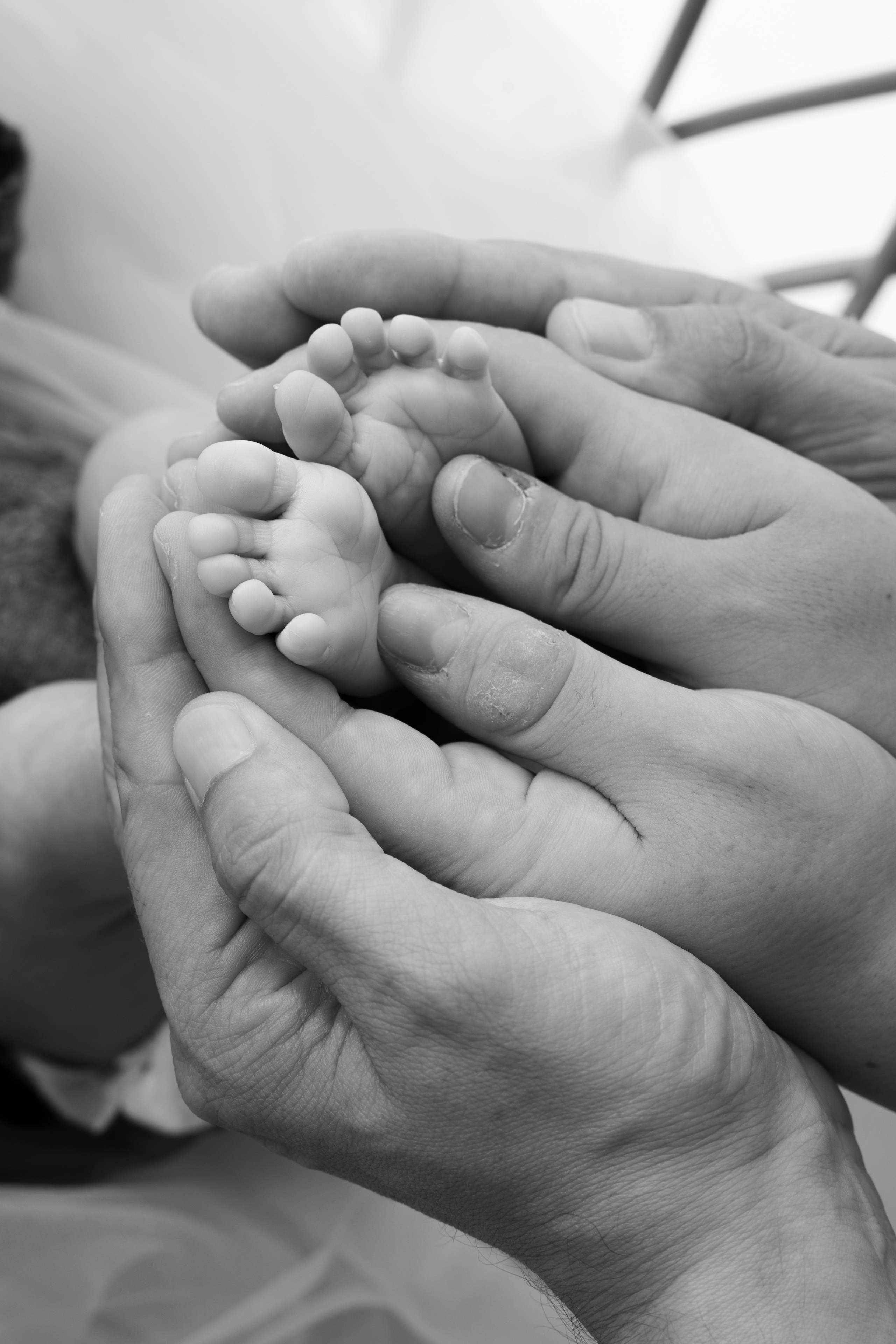 C&C. Portrait and Family Photographer in Netherlands