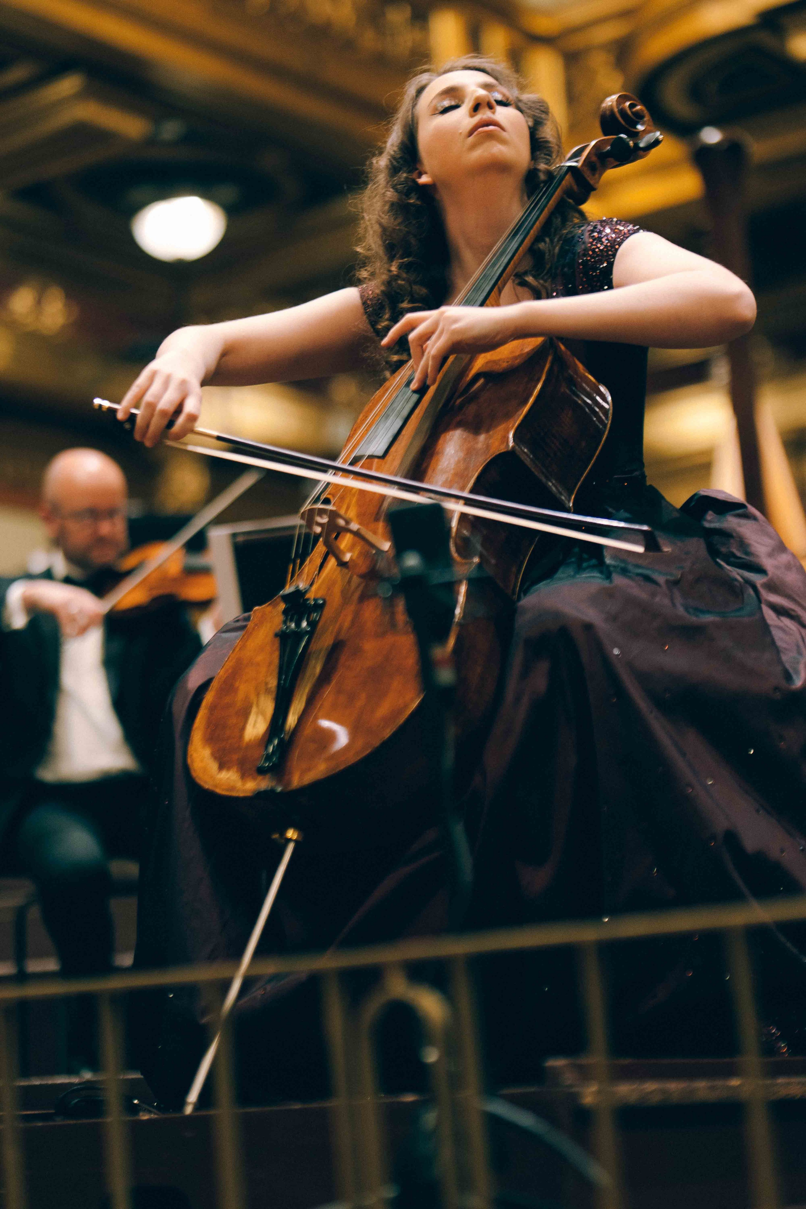 MUSIKVEREIN (VIENNA). Wedding&Event photographer Ismail Rzayev in Baku