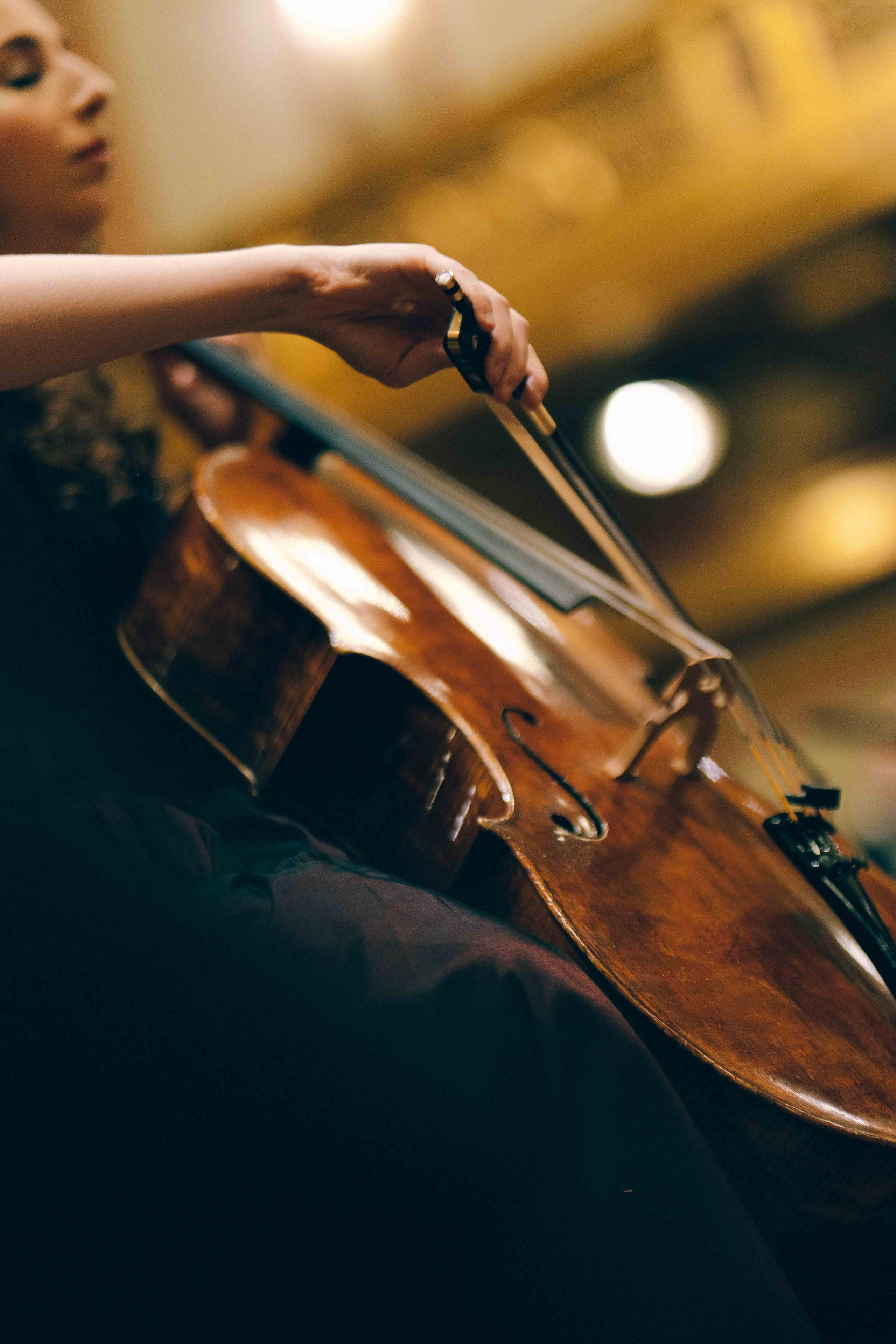 MUSIKVEREIN (VIENNA). Wedding&Event photographer Ismail Rzayev in Baku