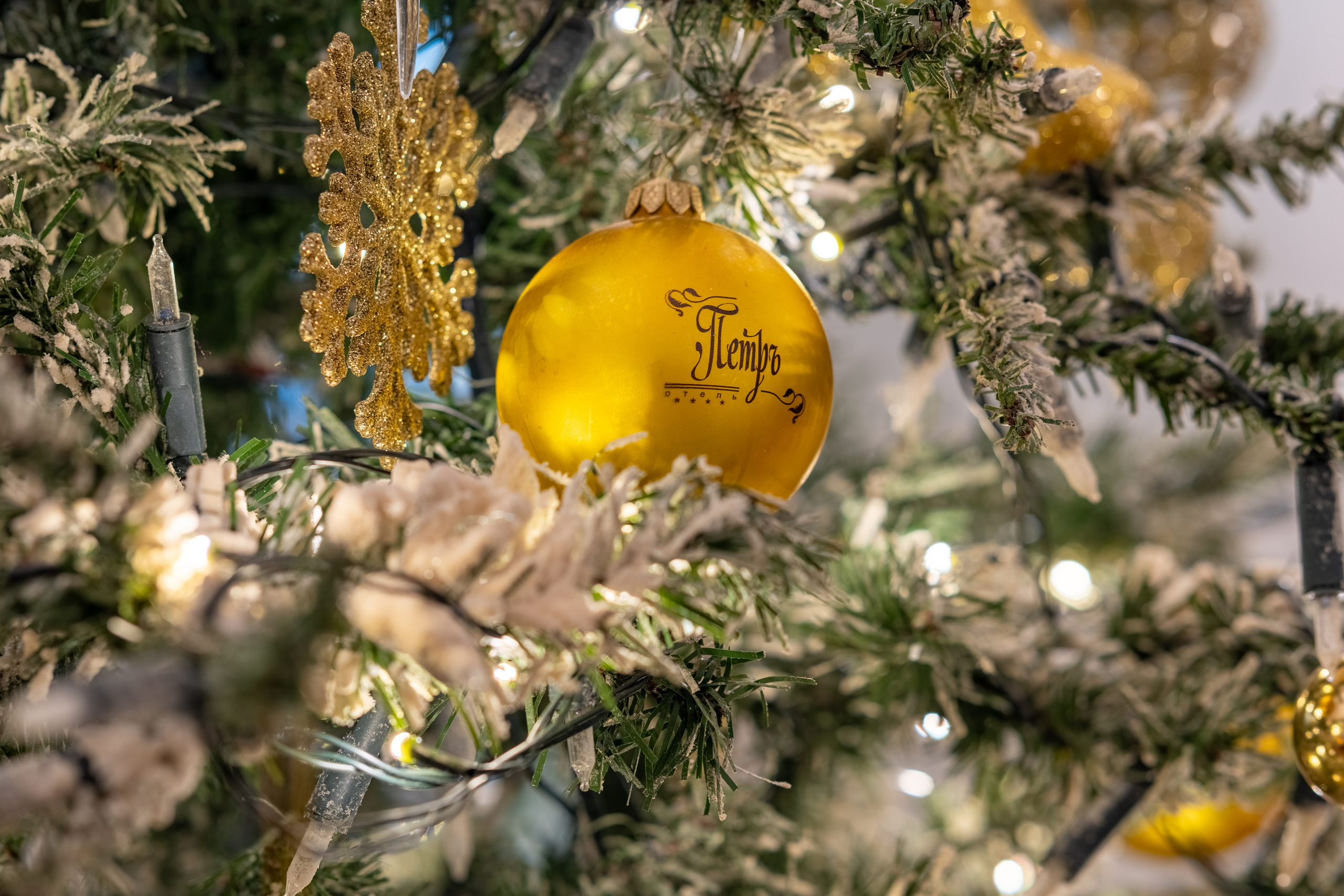 Интерьерное портфолио