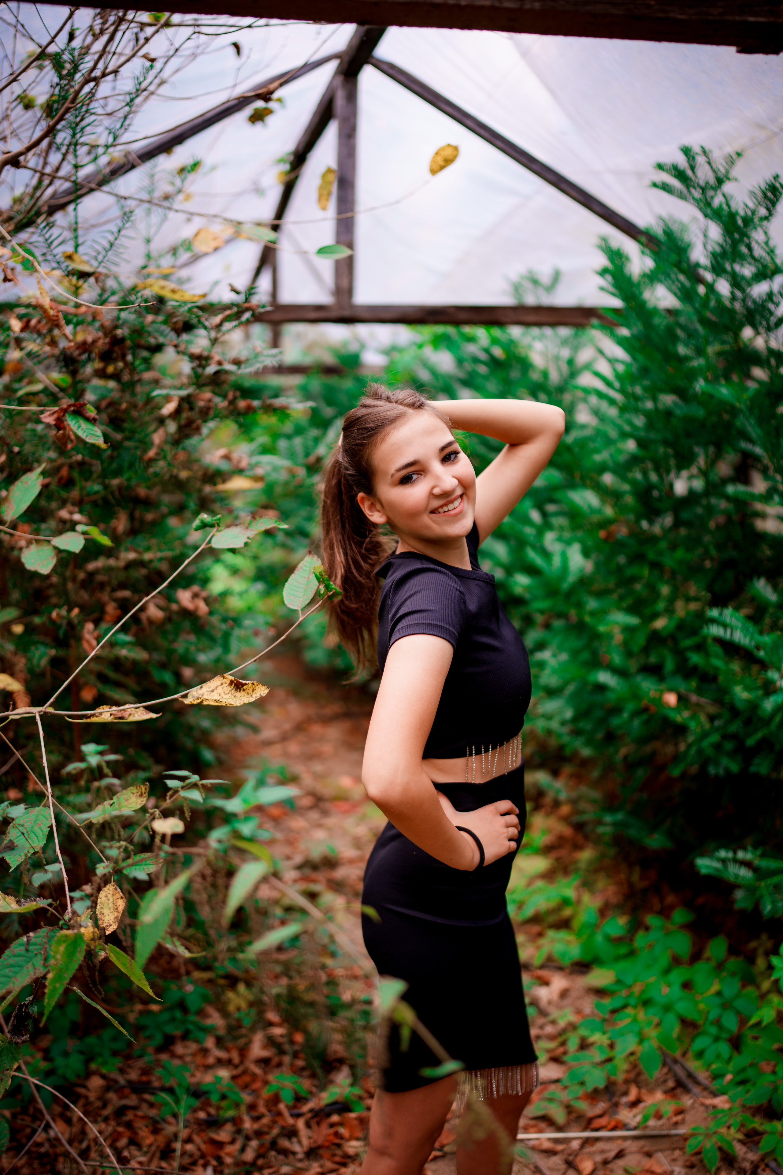 Parcul Dendrologic Gurahonț Gratuit. Trendy Albums